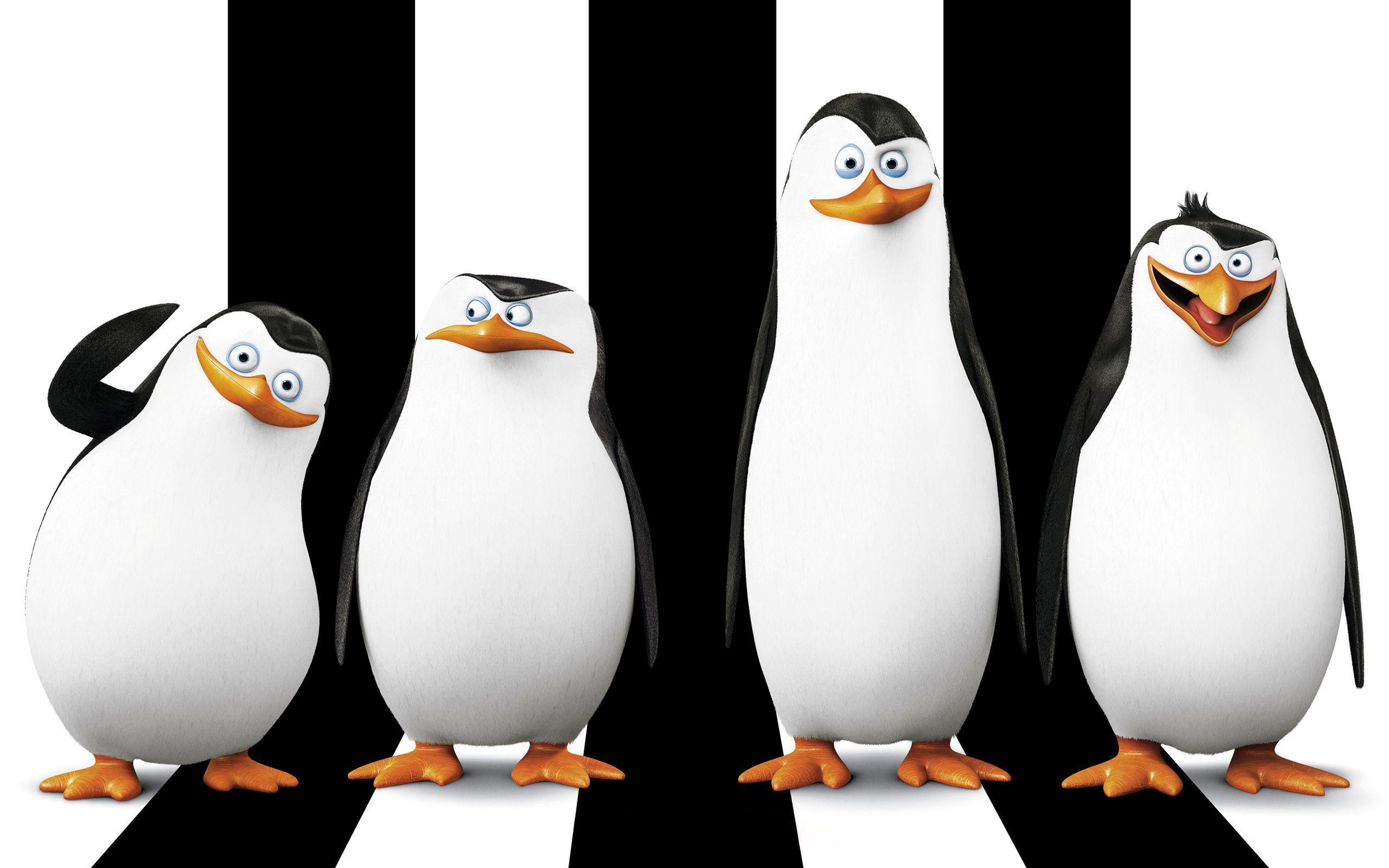 Penguins of Madagascar HD Wallpaper. Background