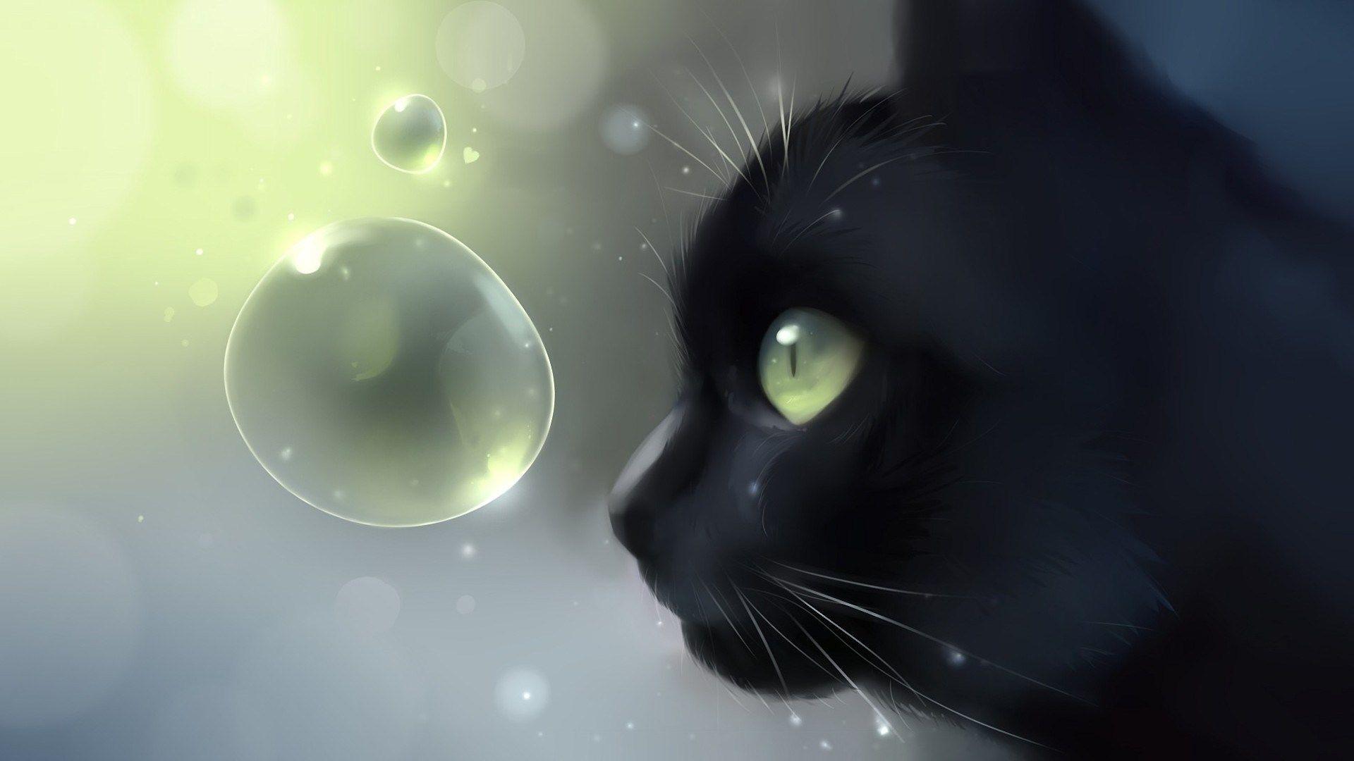 cute cat wallpaper anime  Clip Art Library