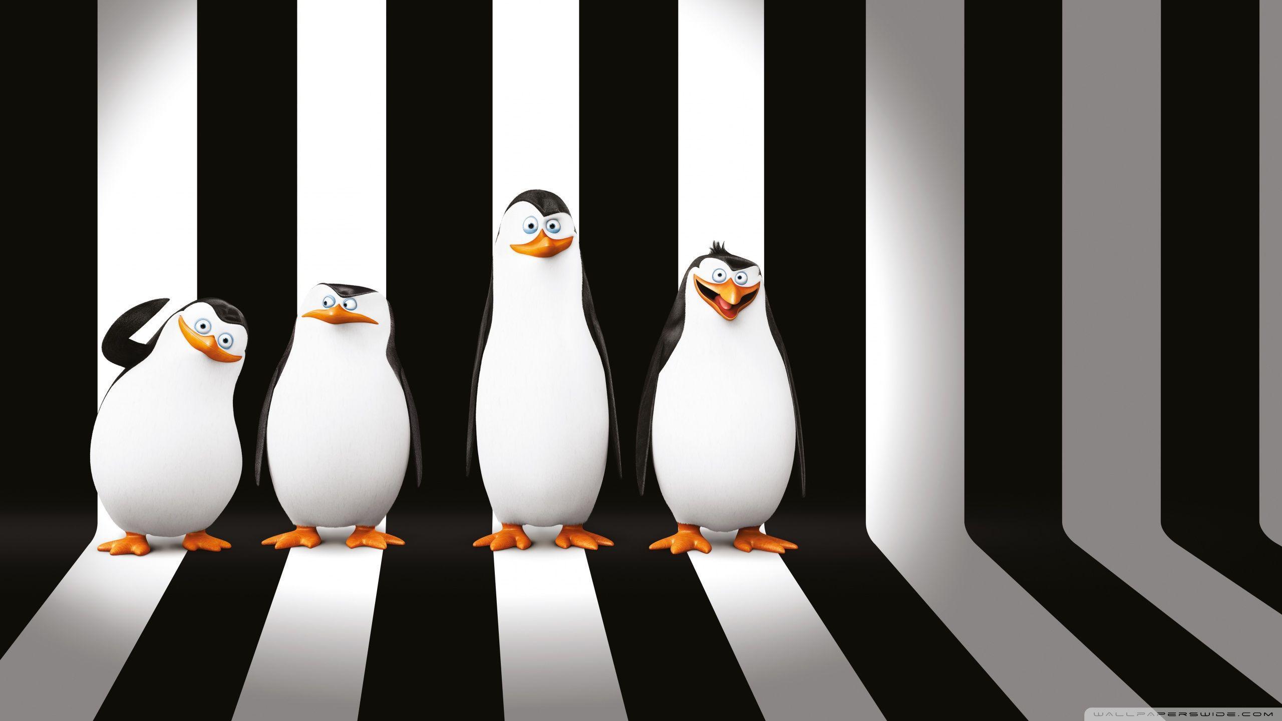 Penguins of Madagascar Movie HD desktop wallpaper, Widescreen