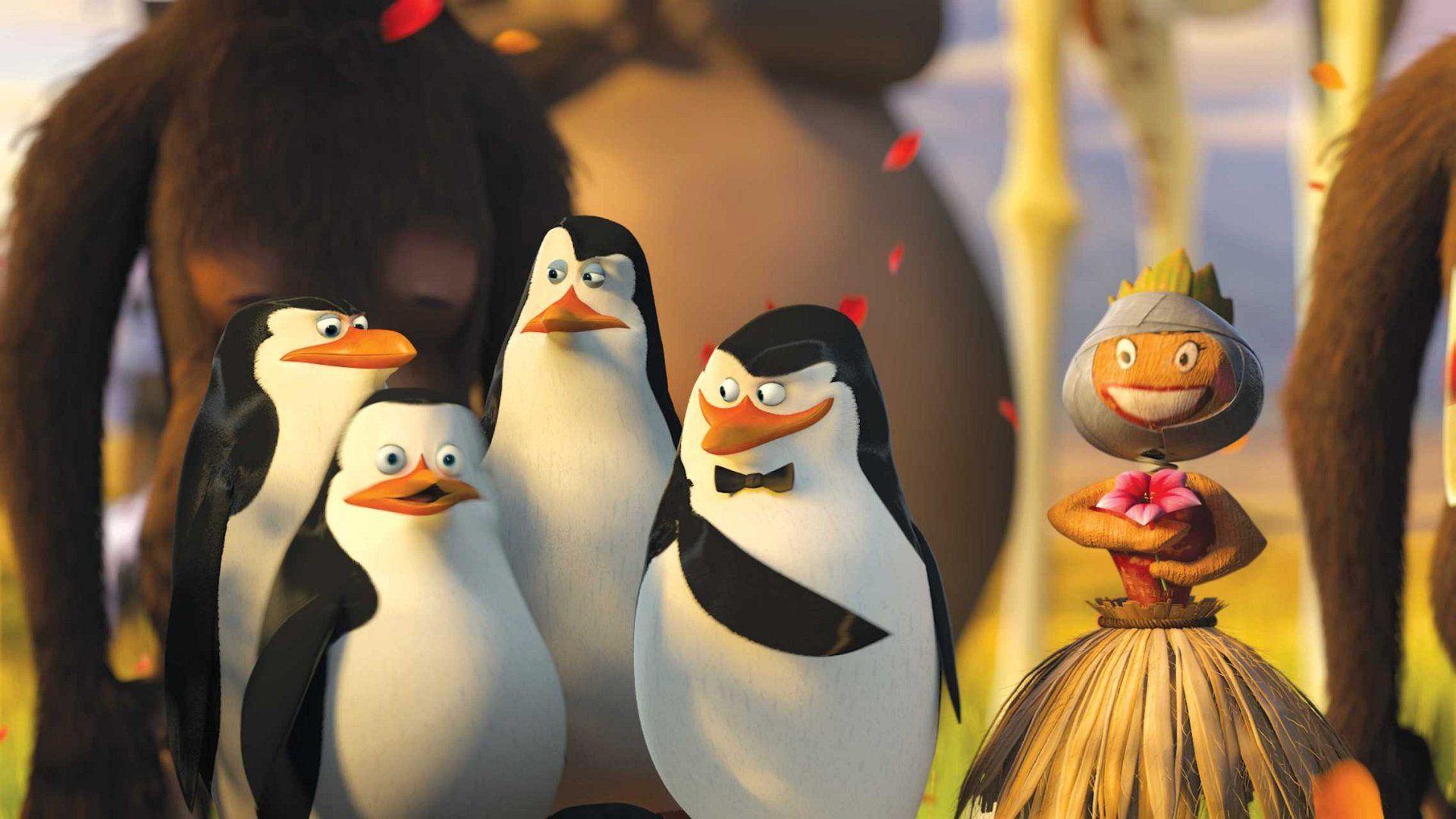 Penguins Of Madagascar Wallpaper, 100% Quality Penguins Of