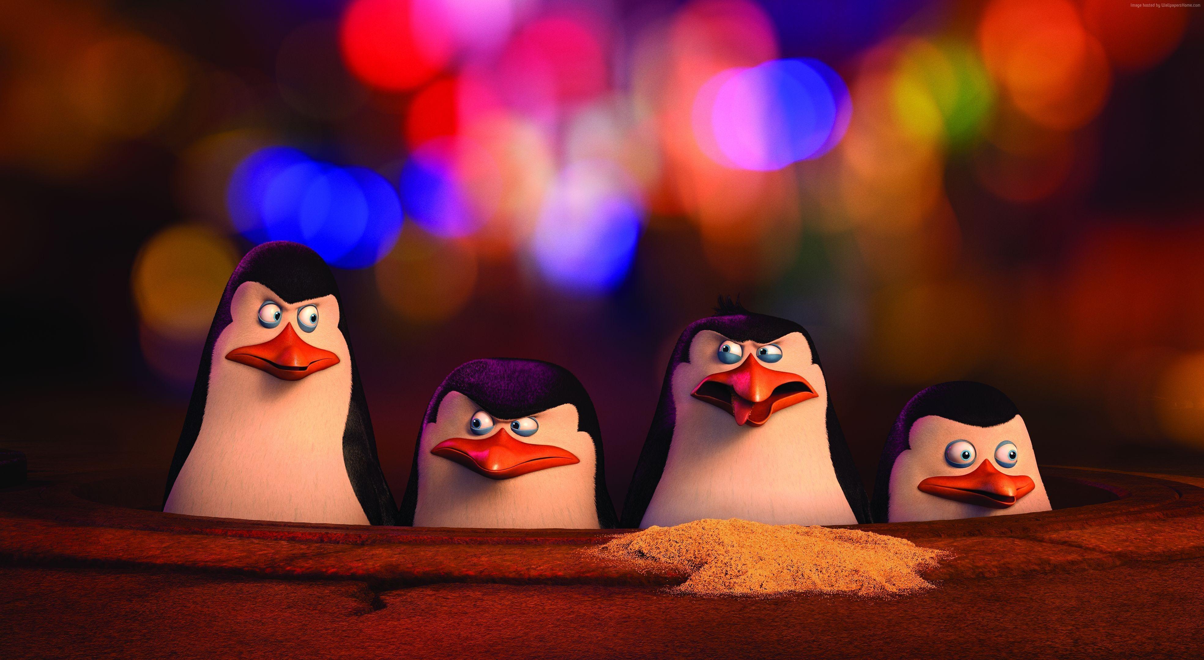 Wallpaper Penguins of Madagascar, penguin, cartoon, Madagascar