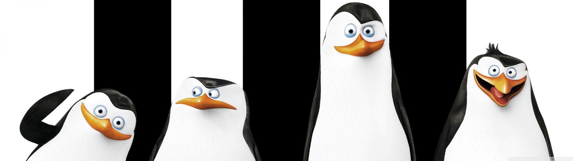 Penguins of Madagascar 2014 HD desktop wallpaper, High Definition
