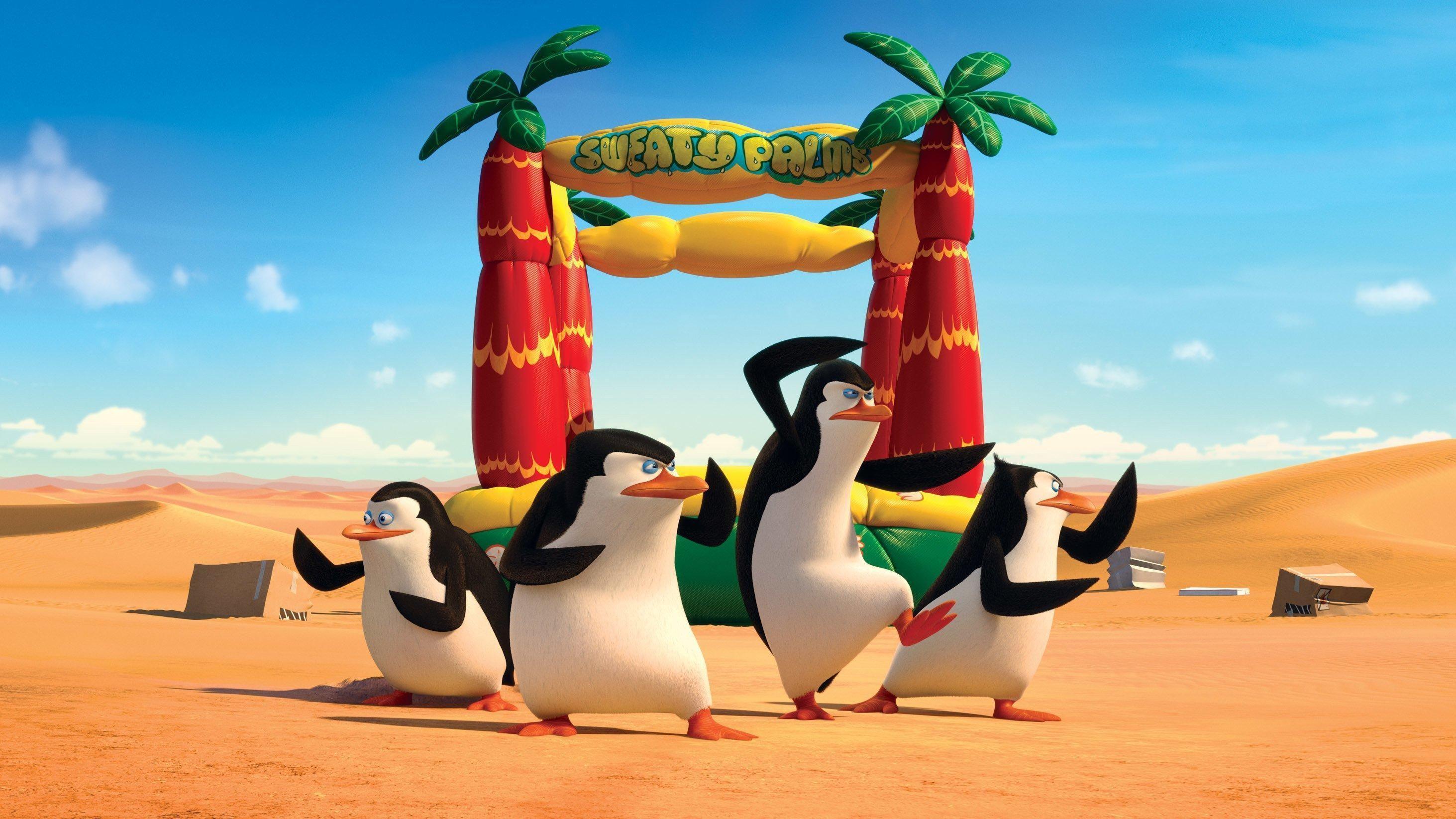 Penguins Of Madagascar Wallpaper HD Download