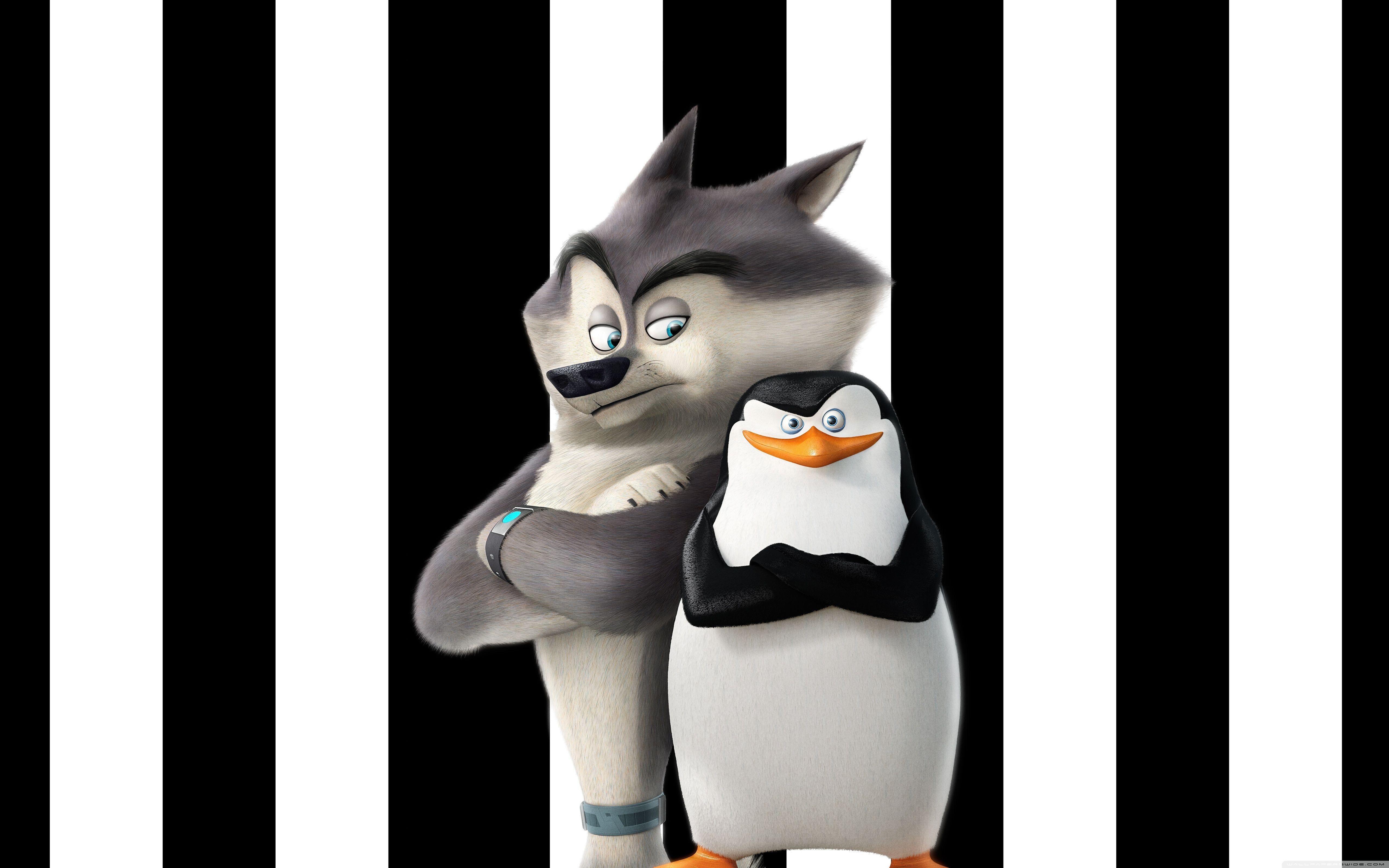 Penguins of Madagascar Skipper and Classified HD desktop wallpaper