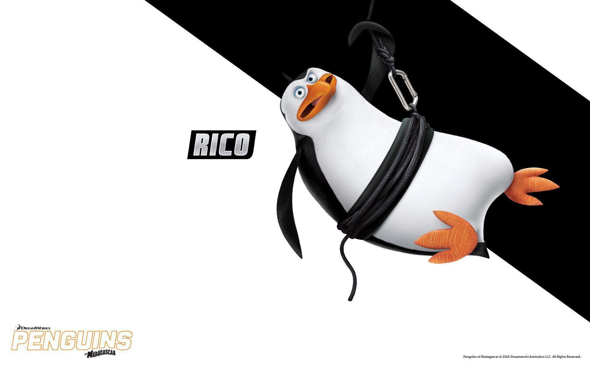 DreamWorks Animation's PENGUINS OF MADAGASCAR. LOOK FOR IT ON BLU