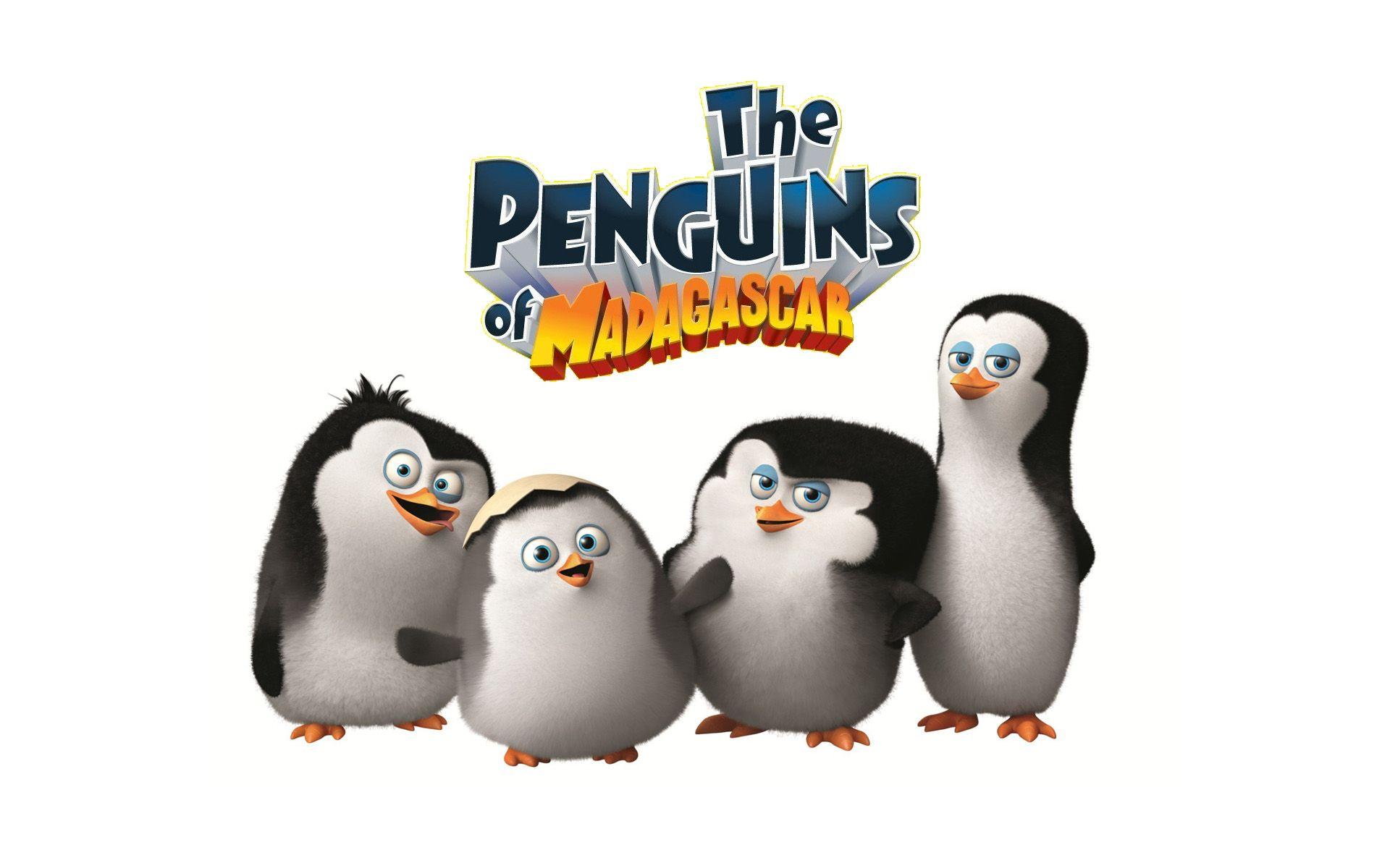 Penguins of Madagascar Baby Wallpaper. Tempat untuk Dikunjungi