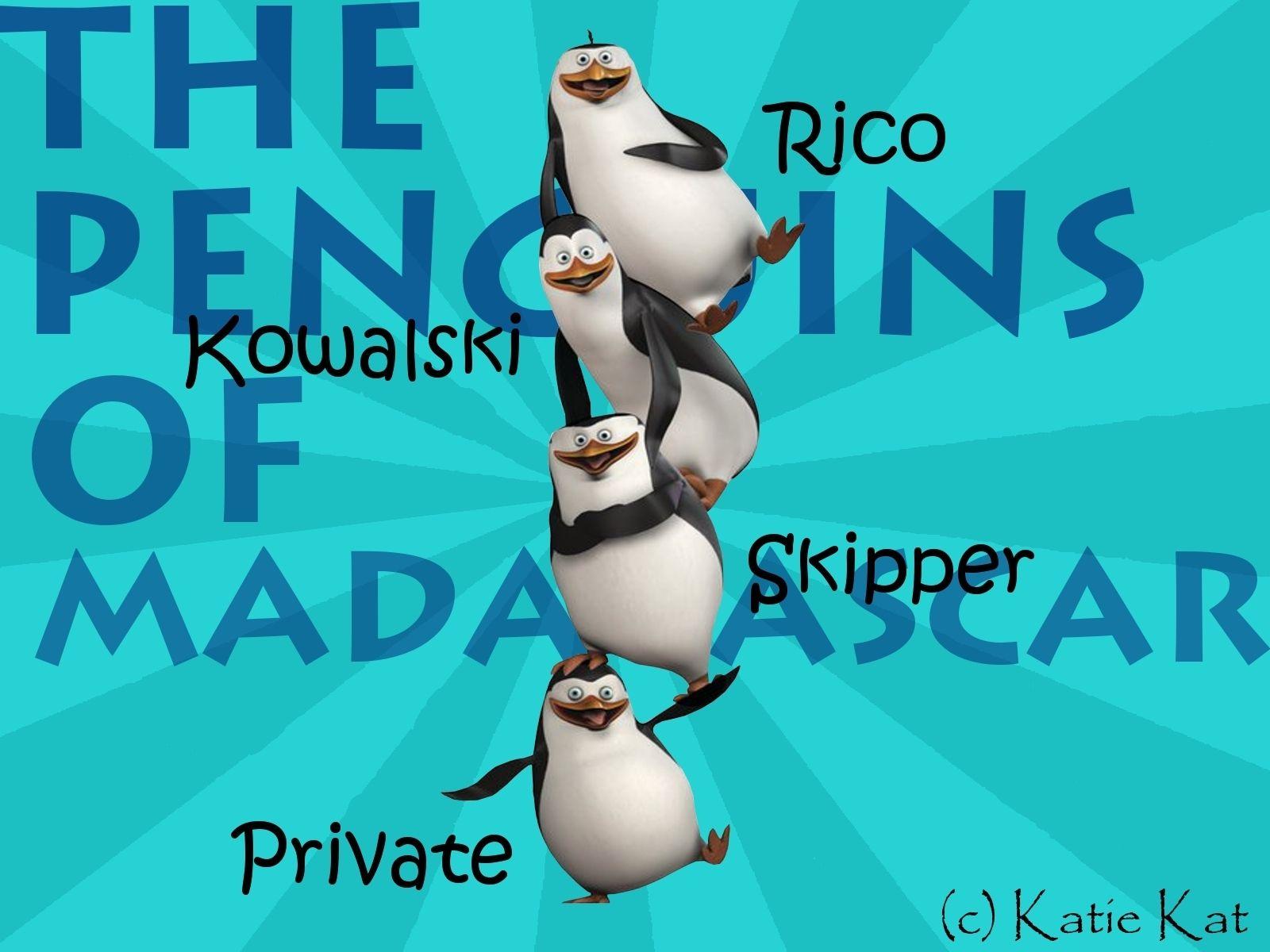 Creative The Penguins Madagascar Image in High Definition