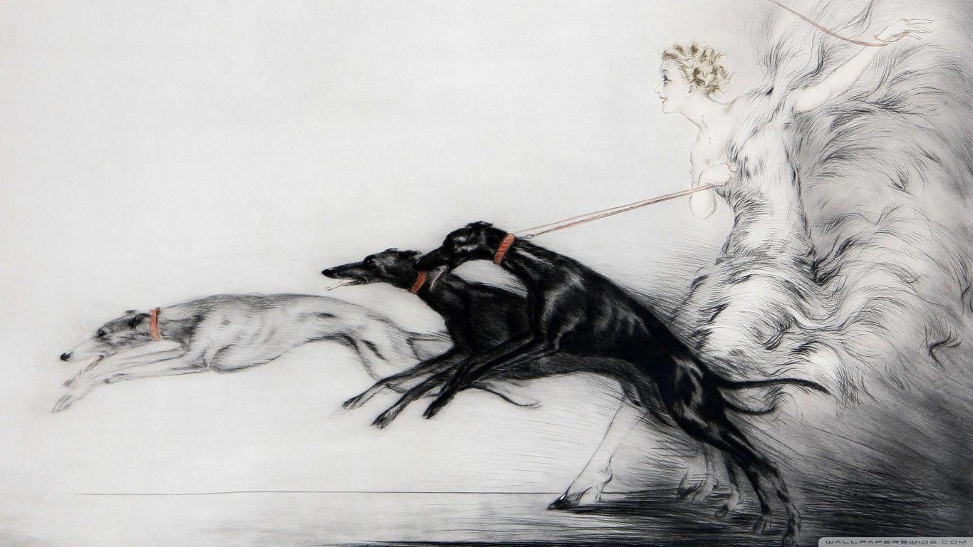 Greyhounds Drawing HD desktop wallpaper, High Definition