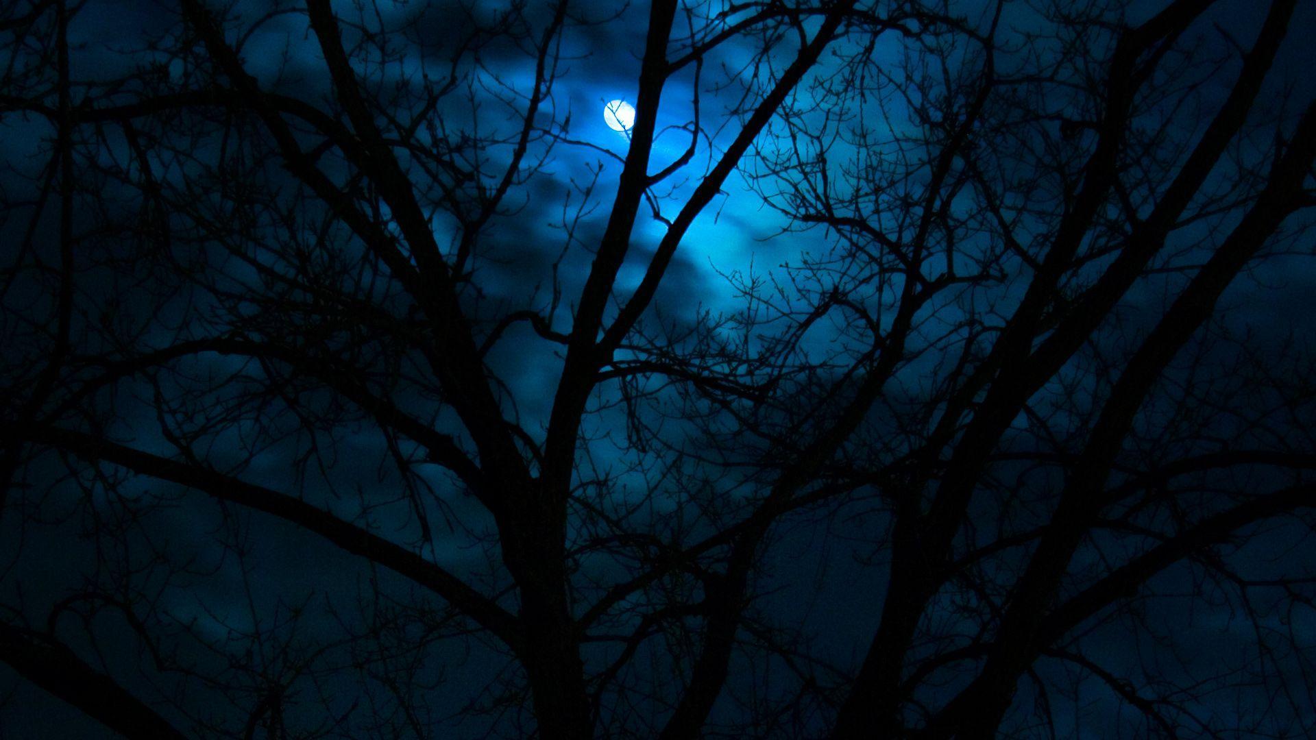 dark moonlight background