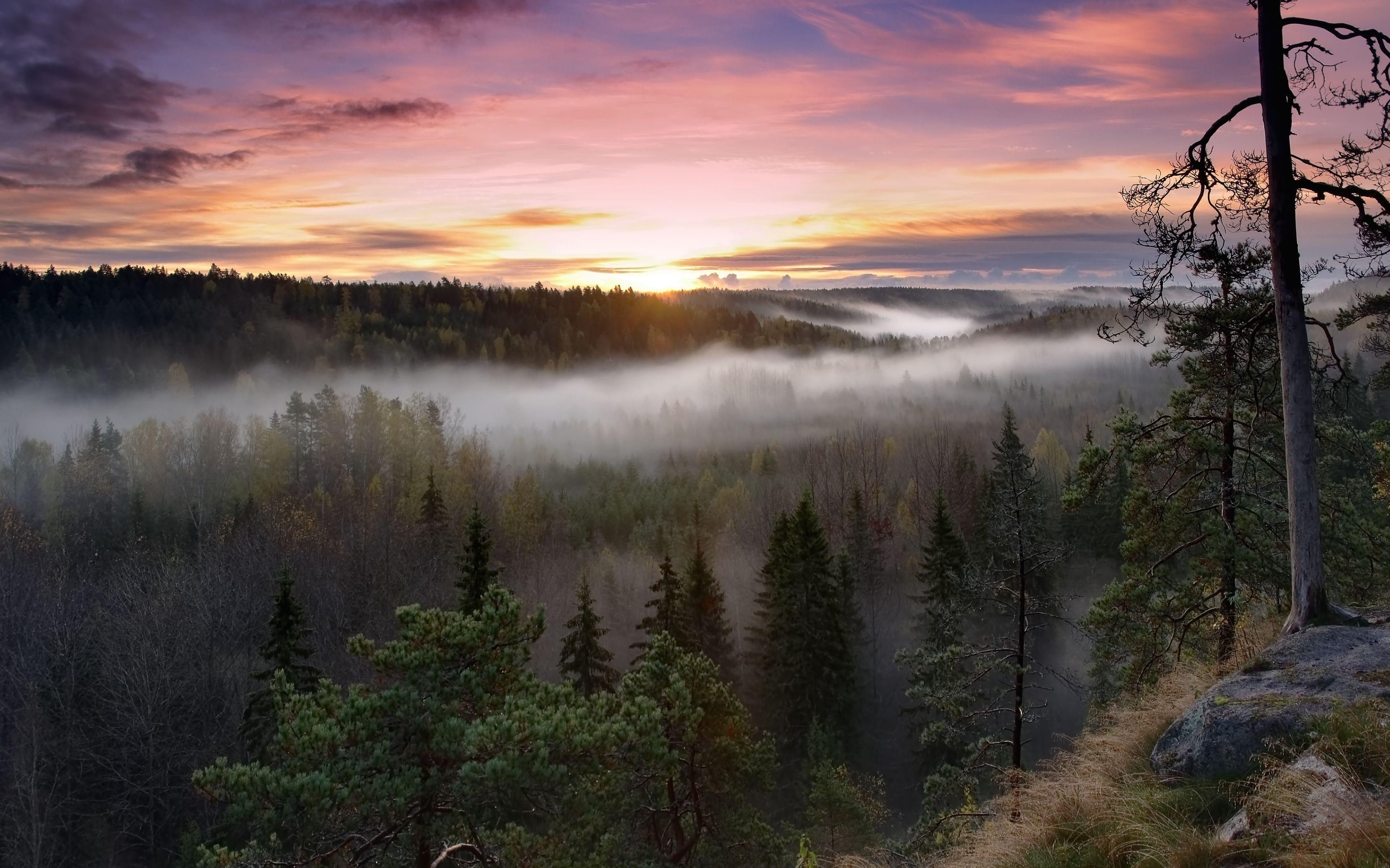Nuuksio National Park, Finland wallpaper and image