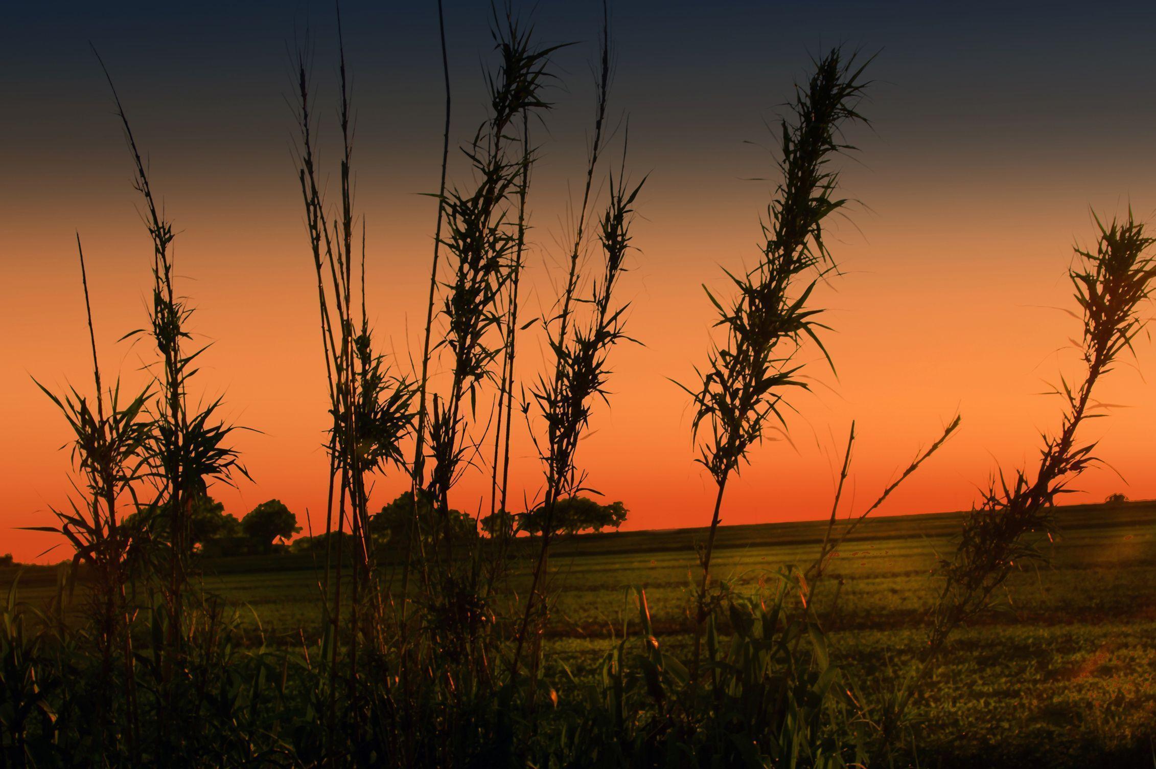 Hd Nature Wallpaper, Amazing Landscape Image, Free Habitat