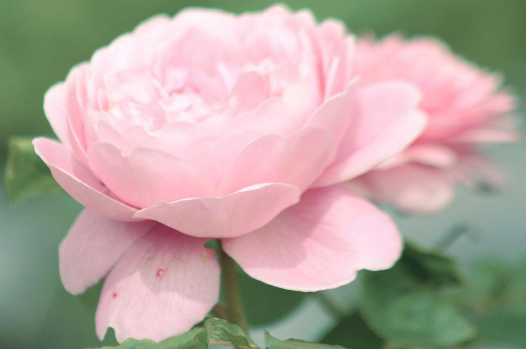 Hd Nature Wallpaper, Amazing Landscape Image, Free Habitat