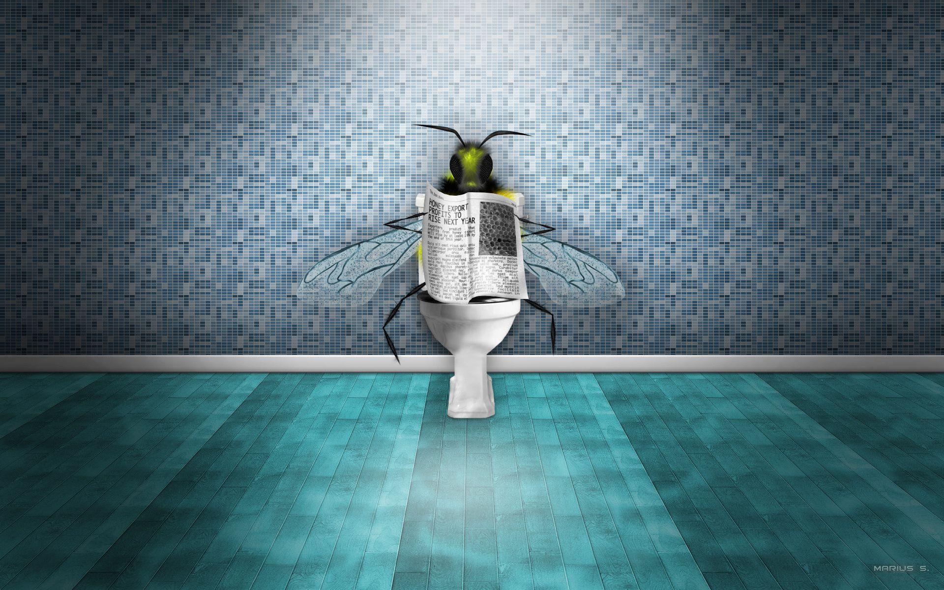 give me the toilet wallpaper