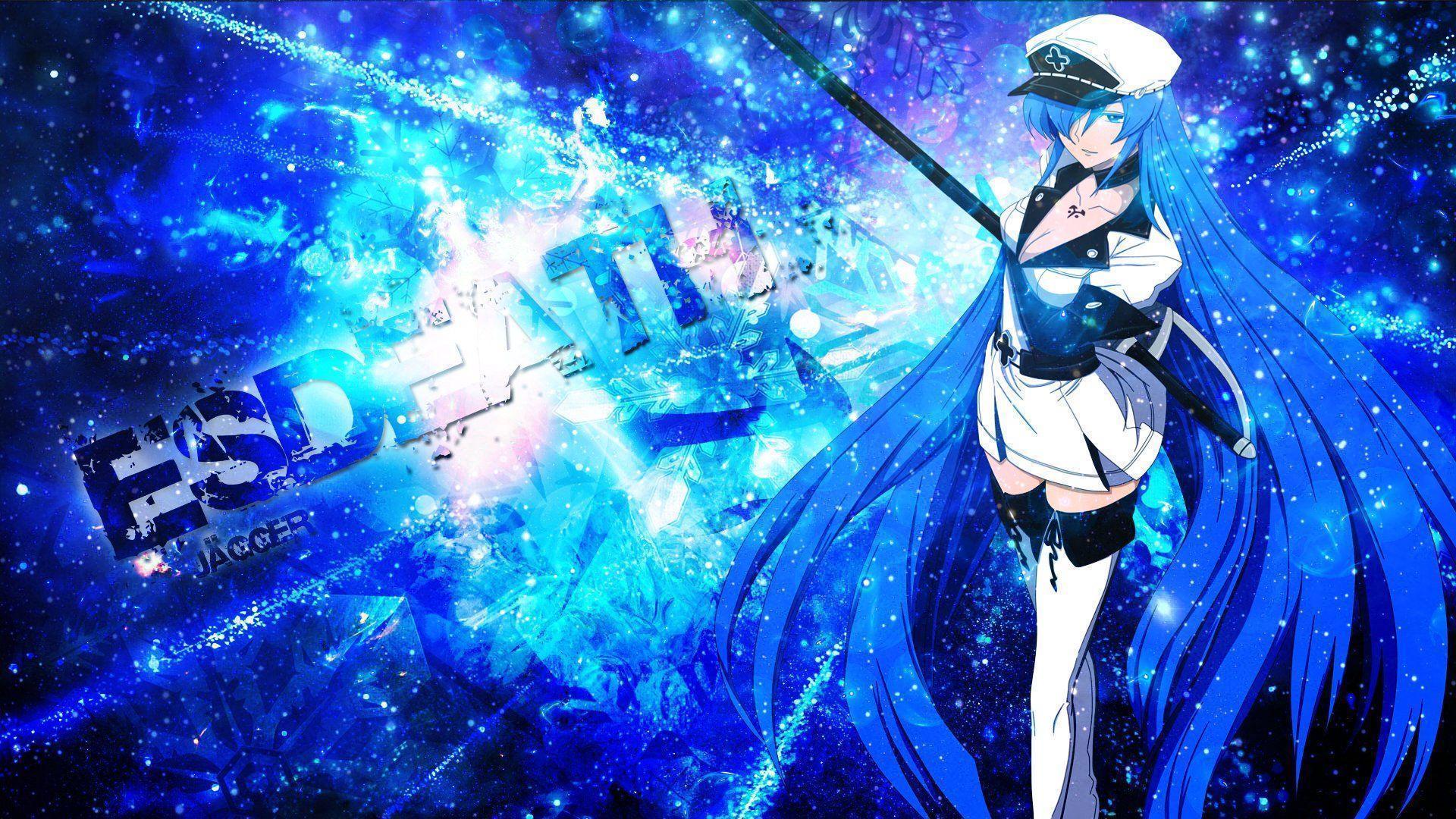 Esdeath Wallpapers 80 pictures