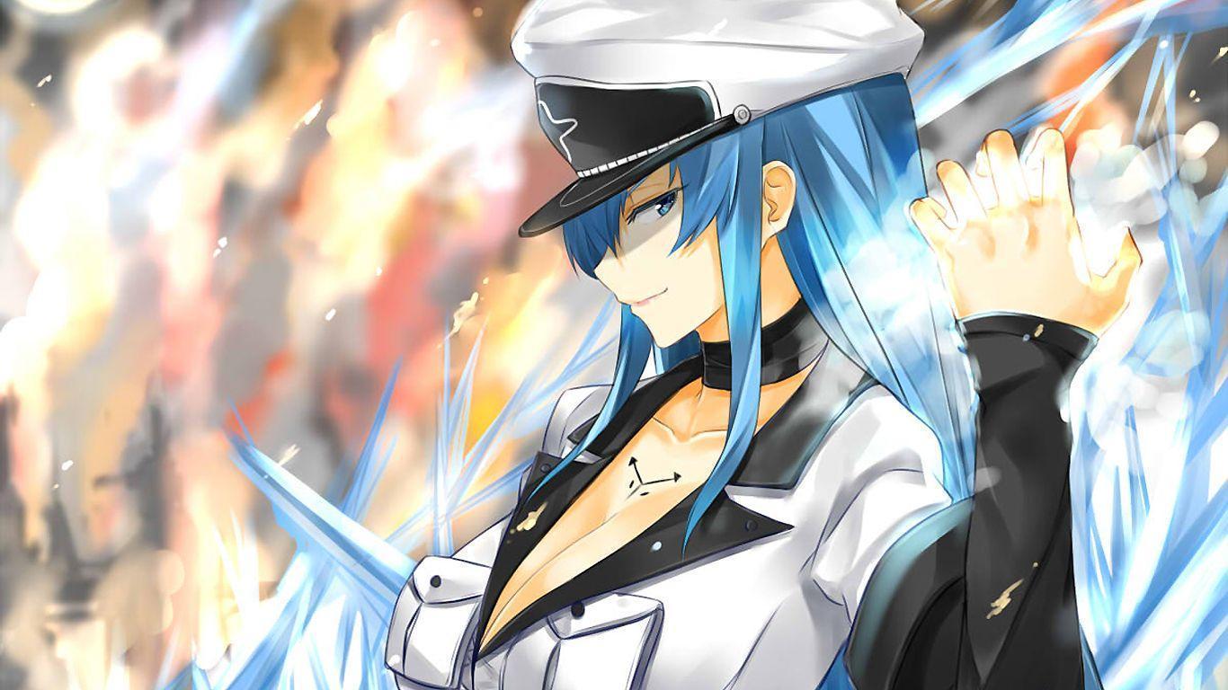 Esdeath Wallpapers - Wallpaper Cave