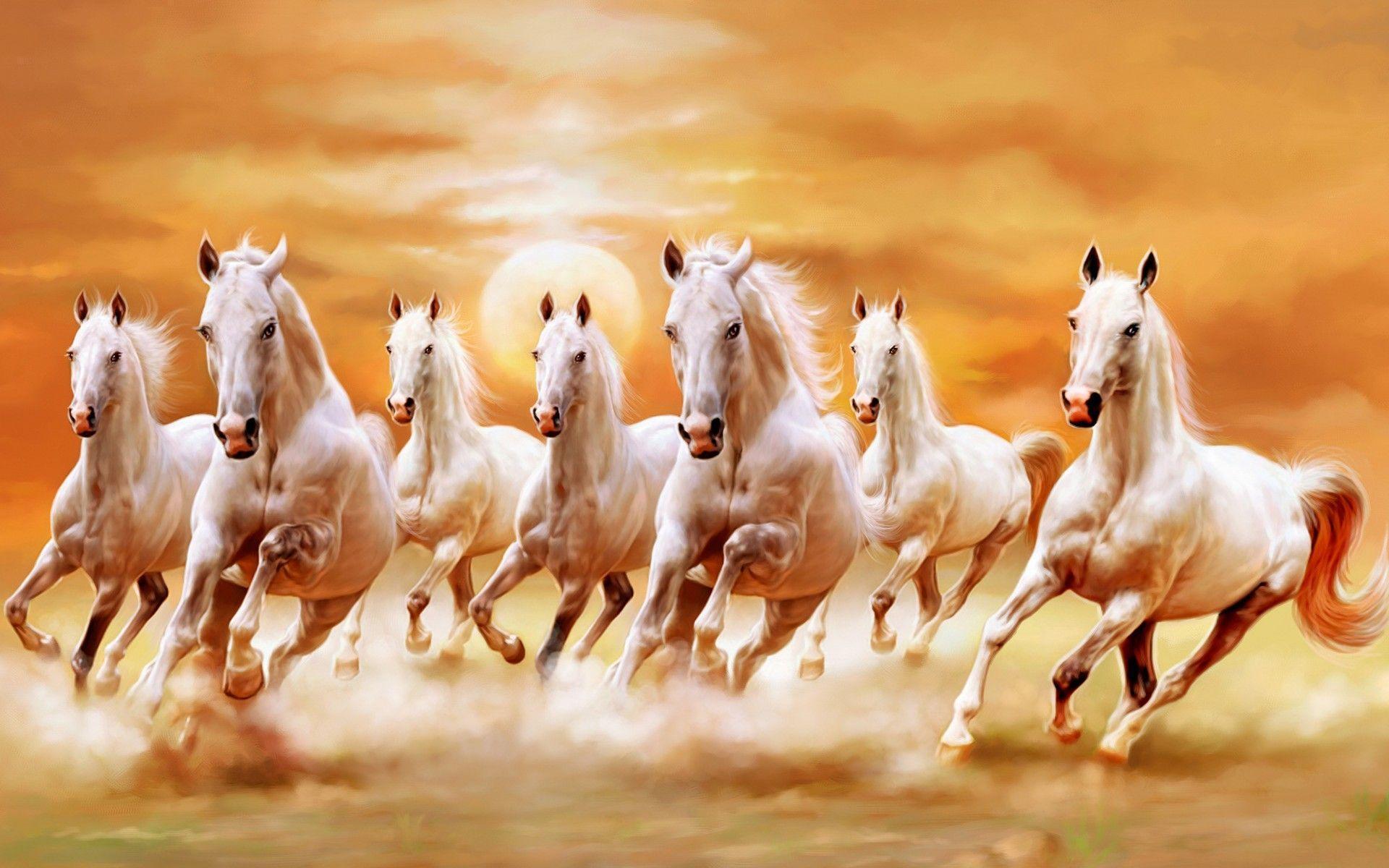 Beautiful White Horses Galloping Orange Sunset Sky Ultra HD