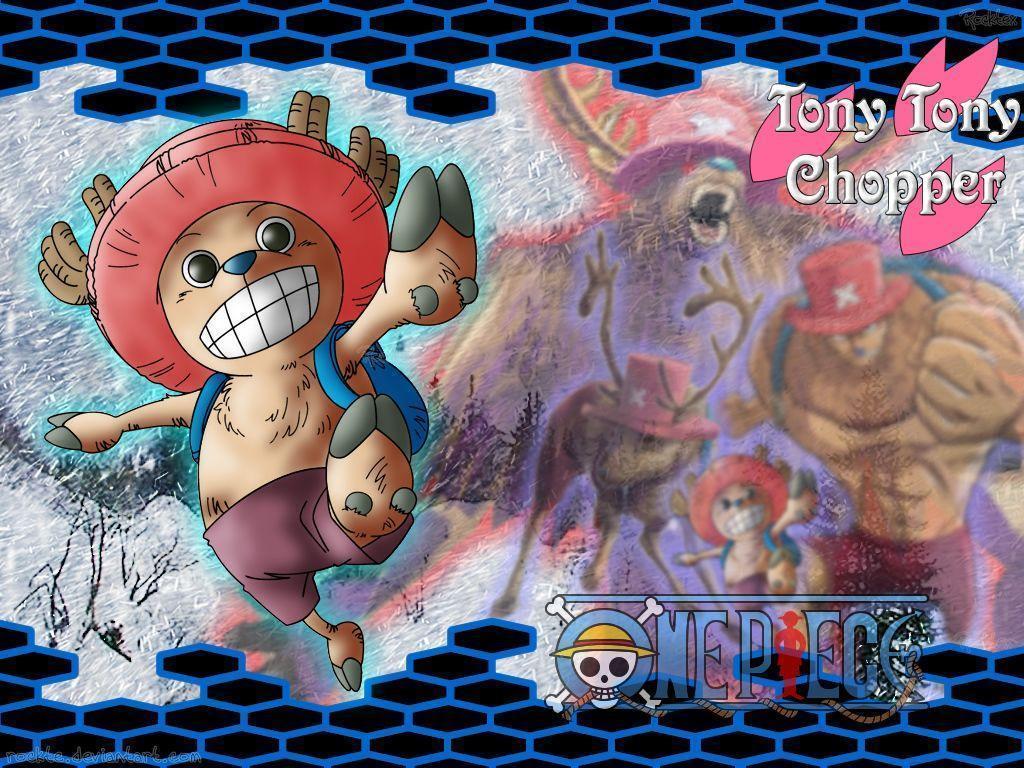 Chopper One Piece Wallpapers 69 images