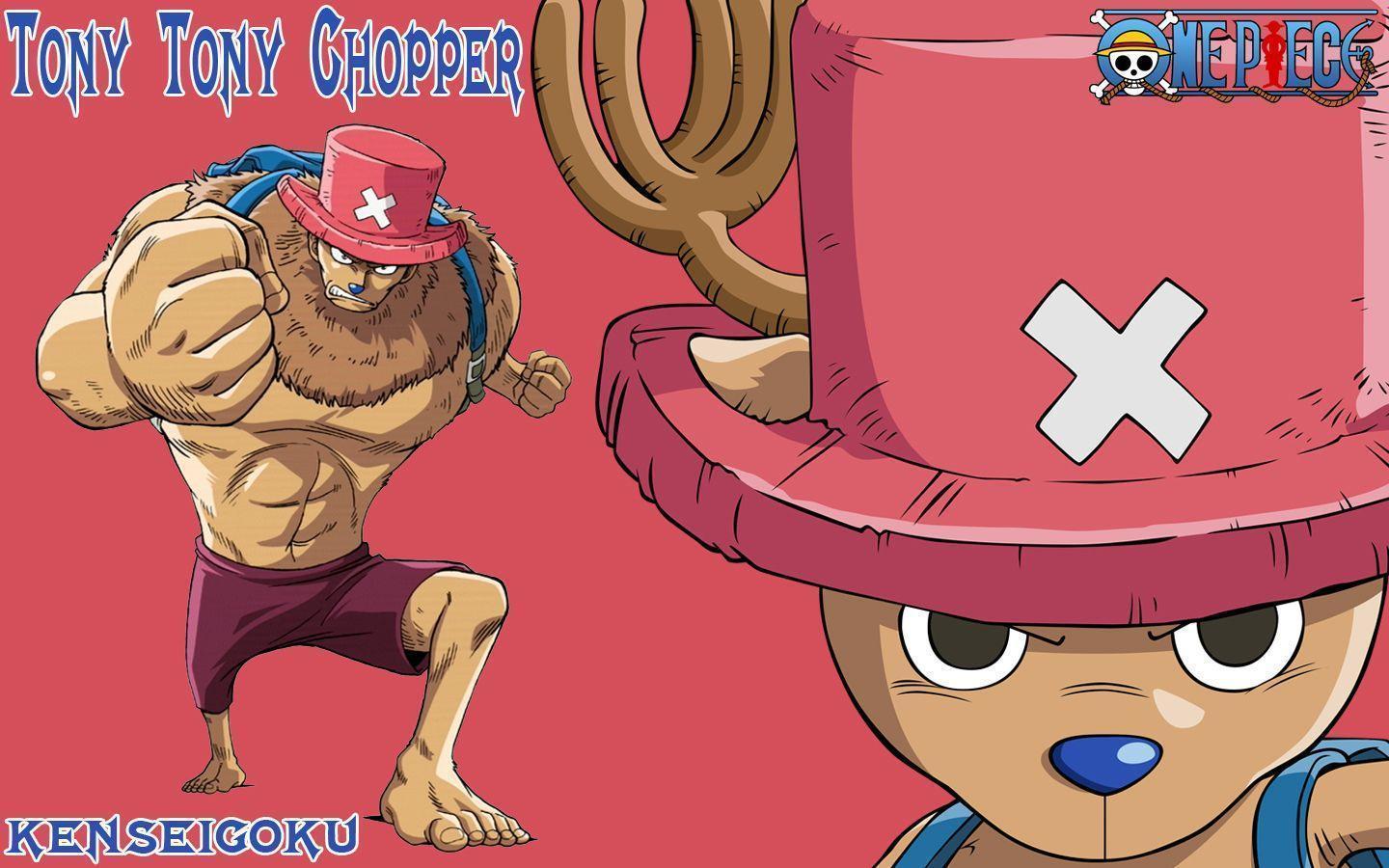 One Piece T.T.Chopper 0012