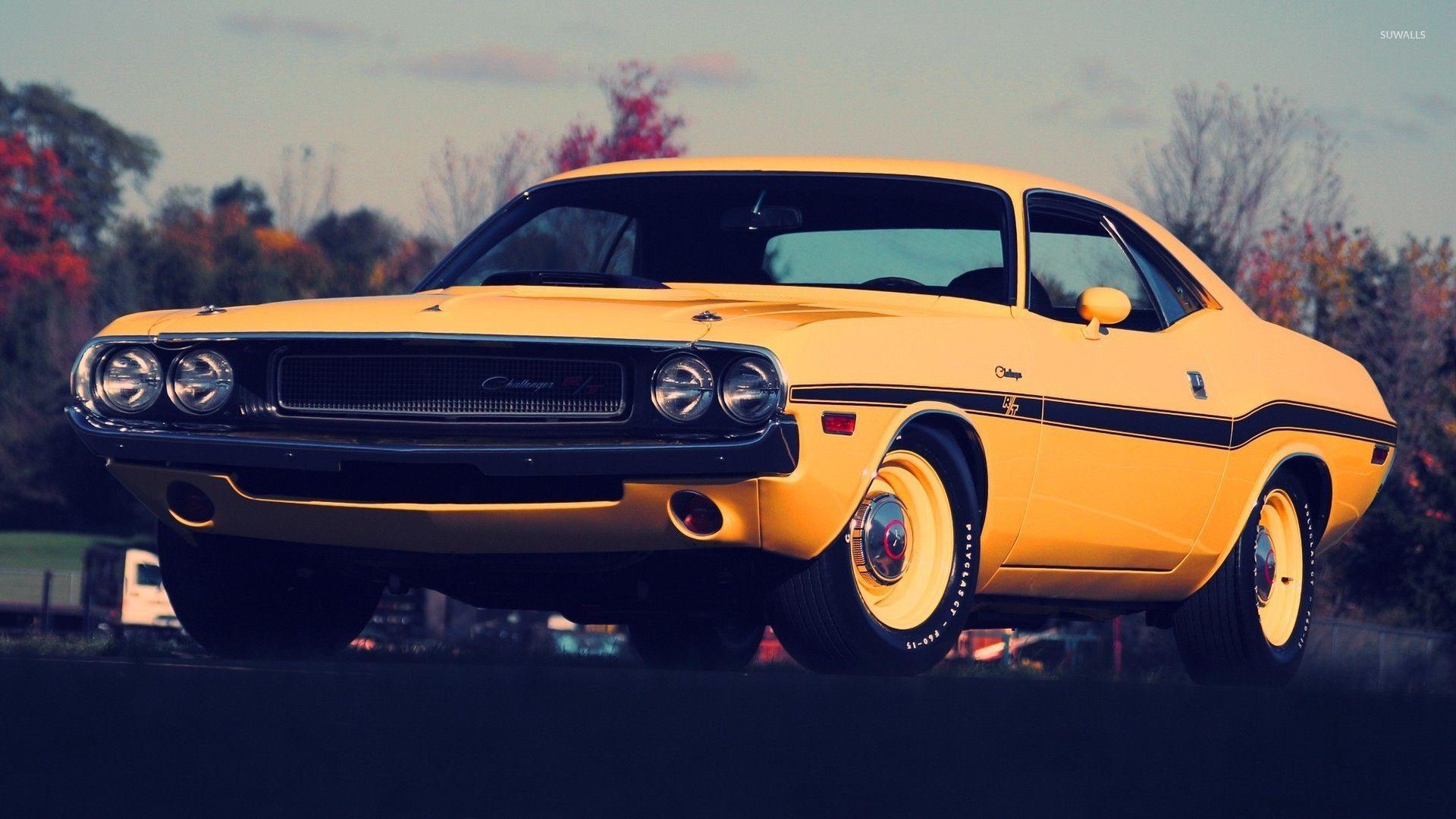 Yellow Dodge Challenger front side view wallpaper wallpaper