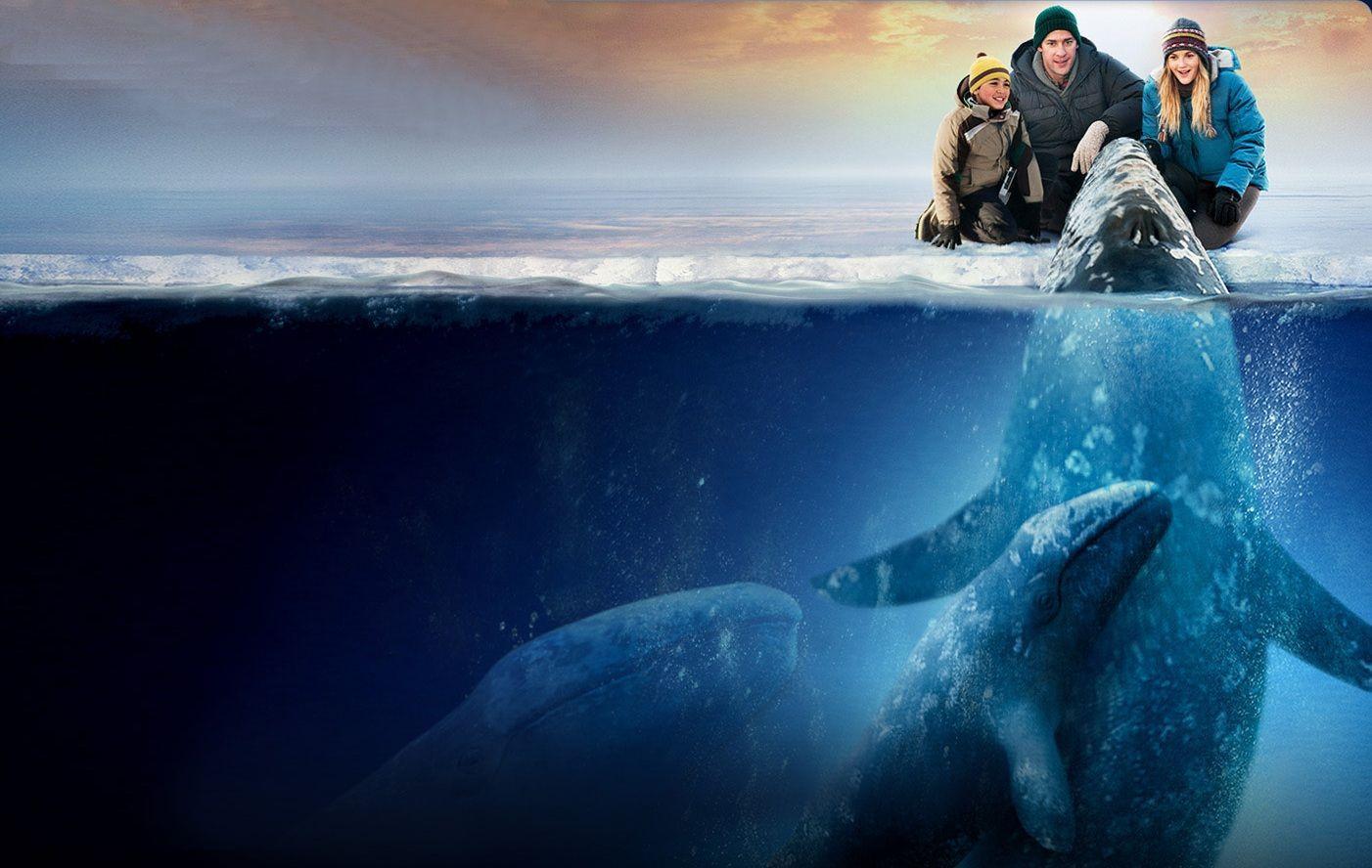 Miracle Movie Wallpaper