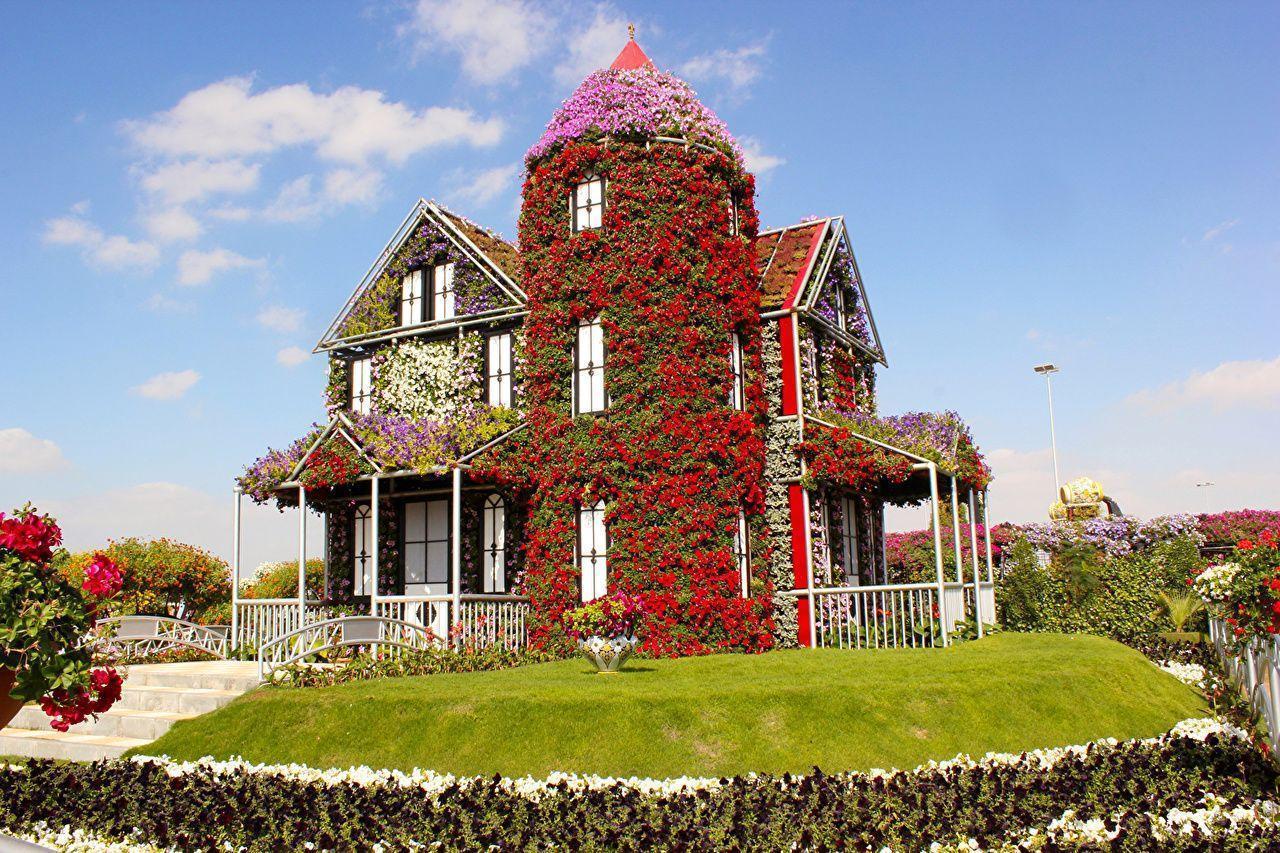 Wallpaper Dubai Emirates UAE Miracle Garden Lawn Cities Building