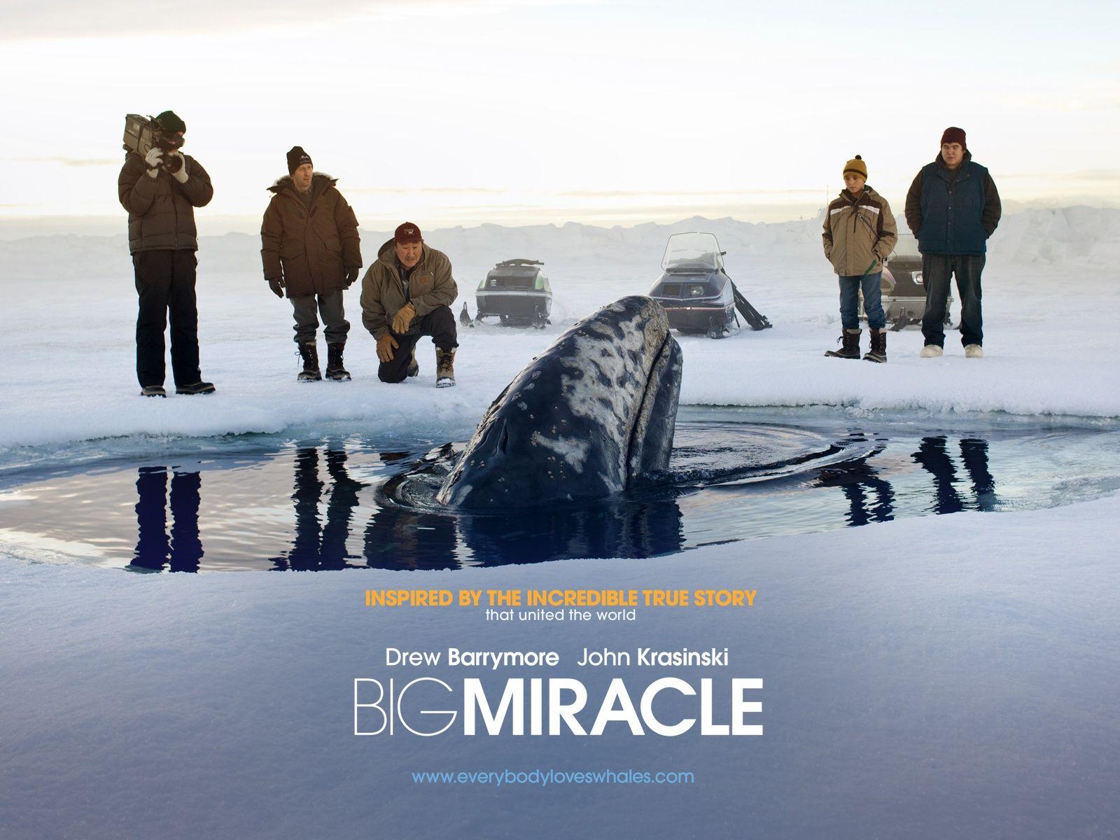 HD Big Miracle Wallpaper