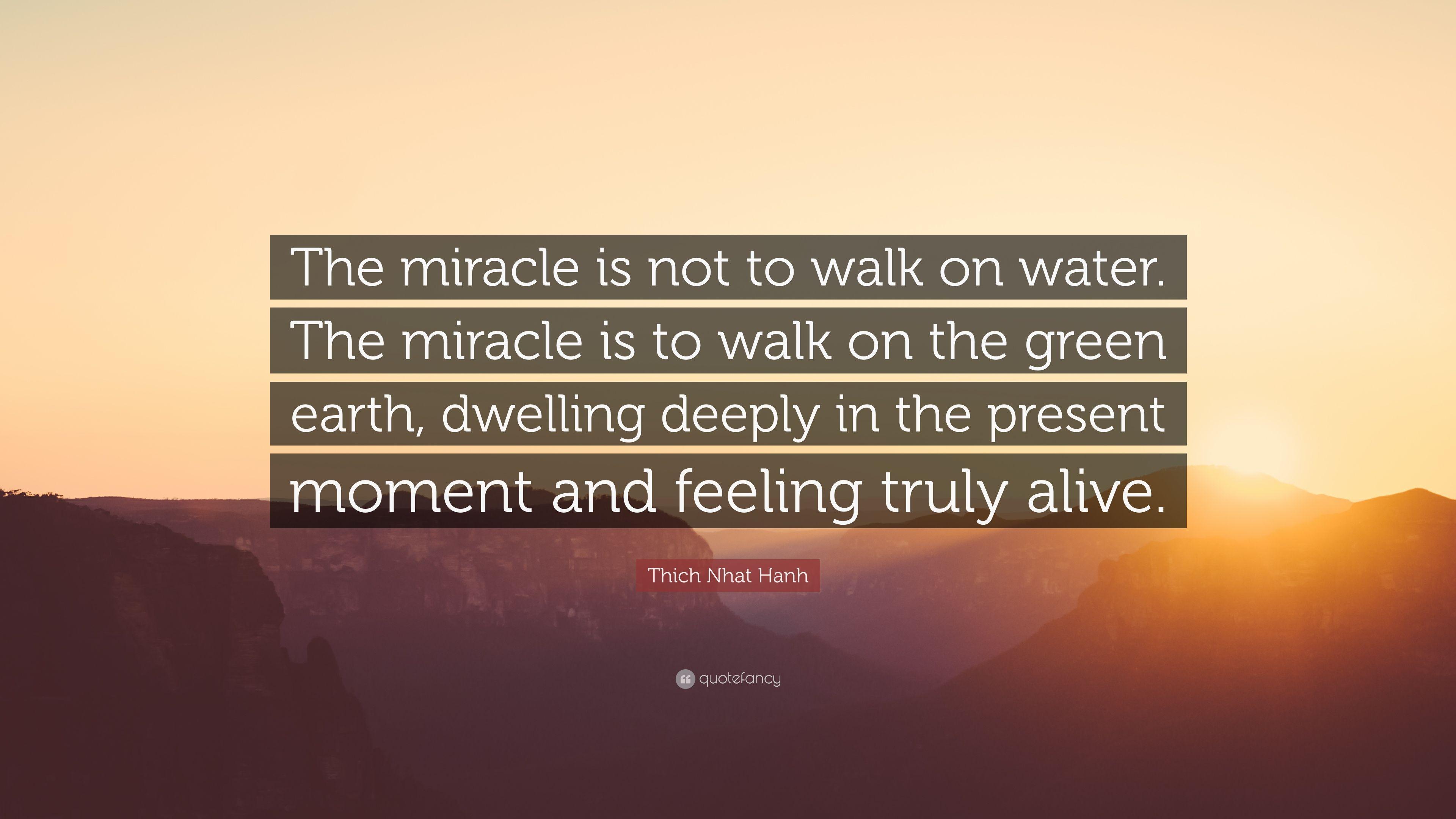 Thich Nhat Hanh Quote: “The miracle is not to walk on water