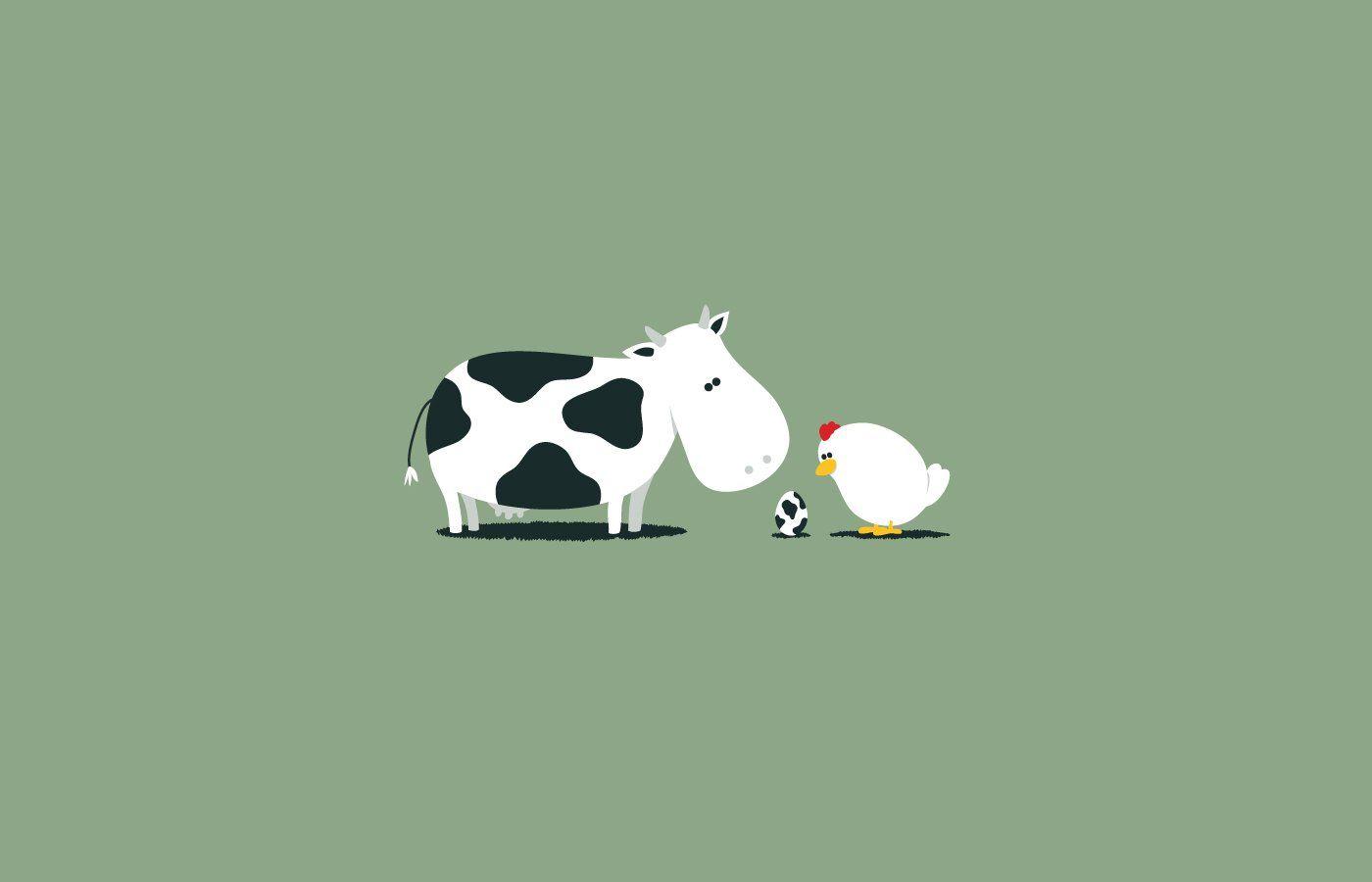 Cow HD Wallpaper