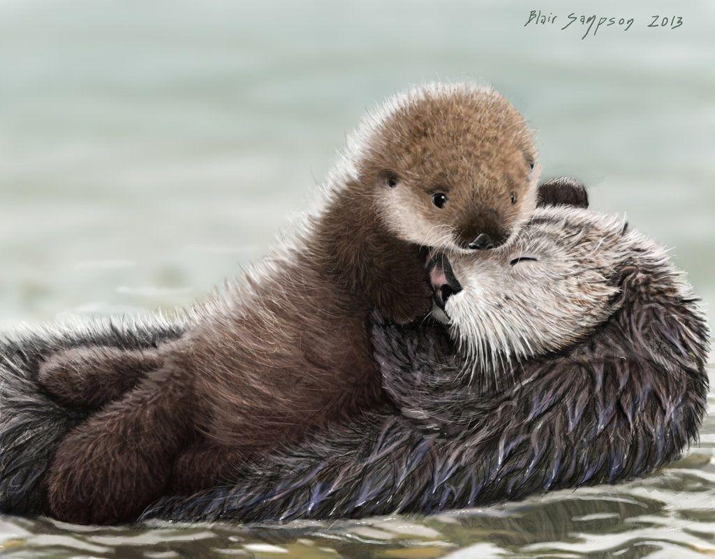 Cute River Otters
