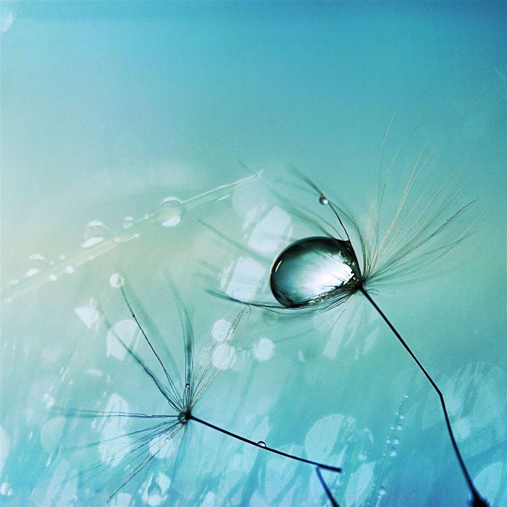 CRA15 Awesome Water Drop Background, Wallpaper