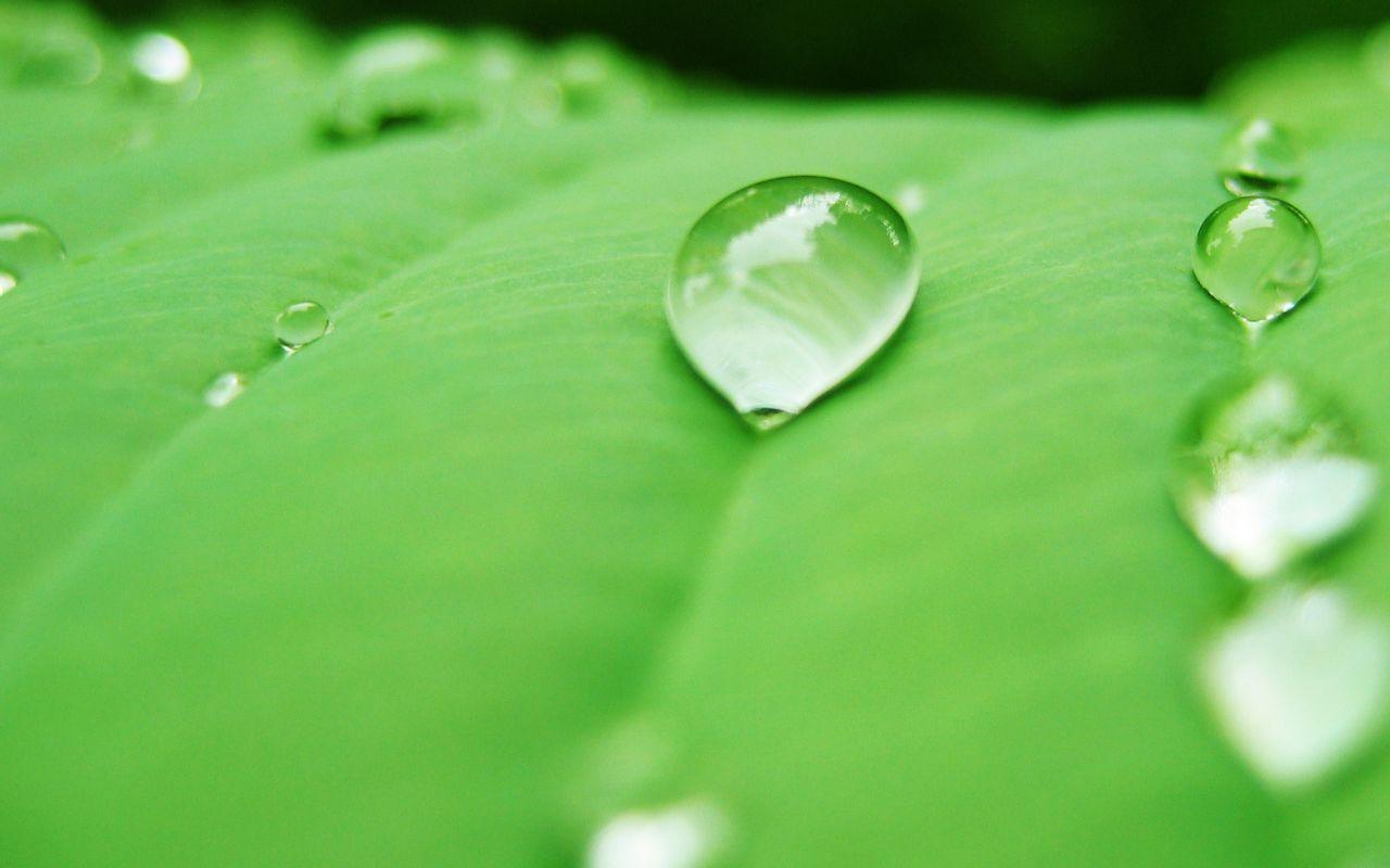 Gallery For > Water Drop Wallpaper