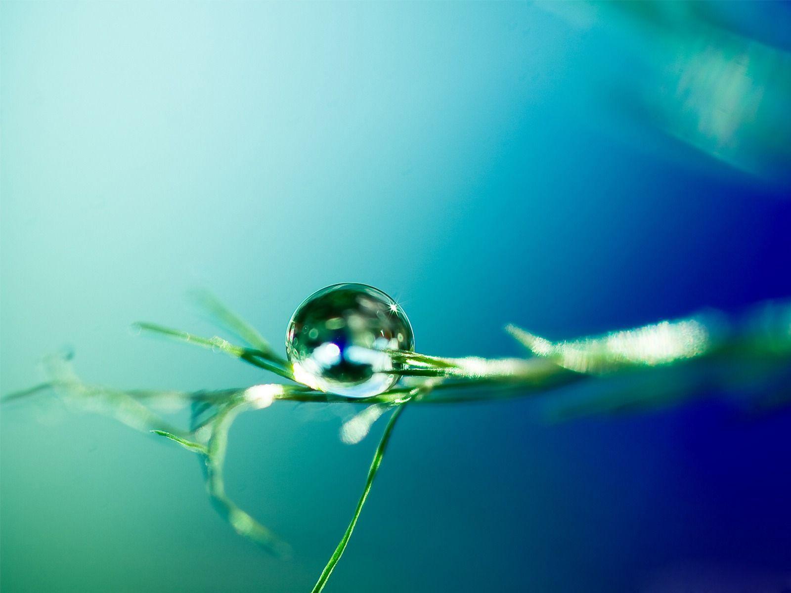 Gallery For > Water Drop Wallpaper
