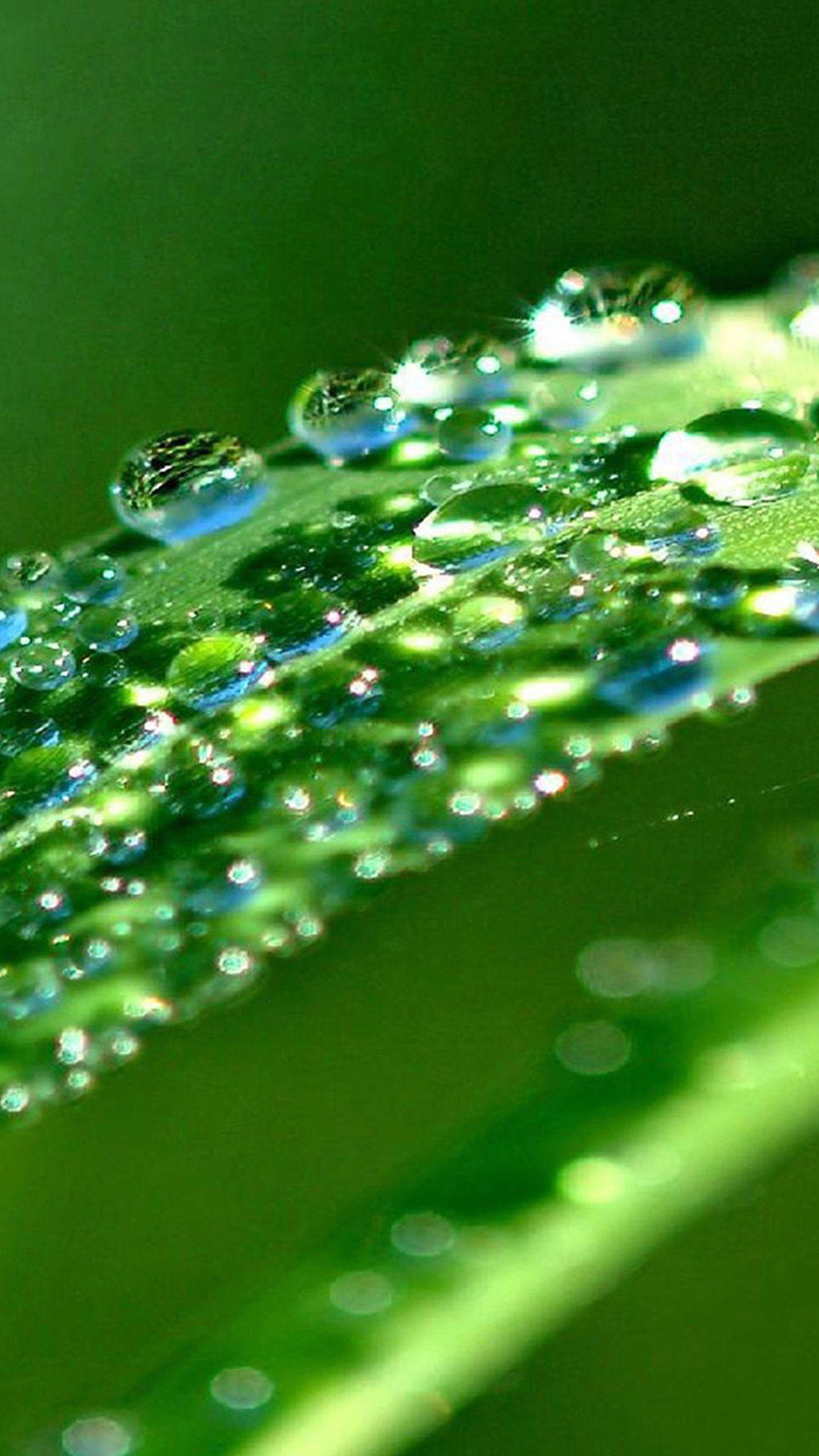 Green Water Drop wallpaper (78 Wallpaper)