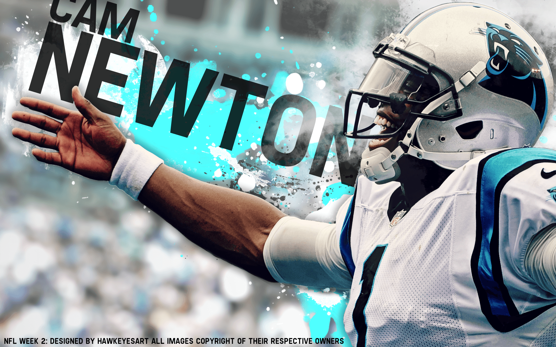 Nfl Panthers Wallpaper