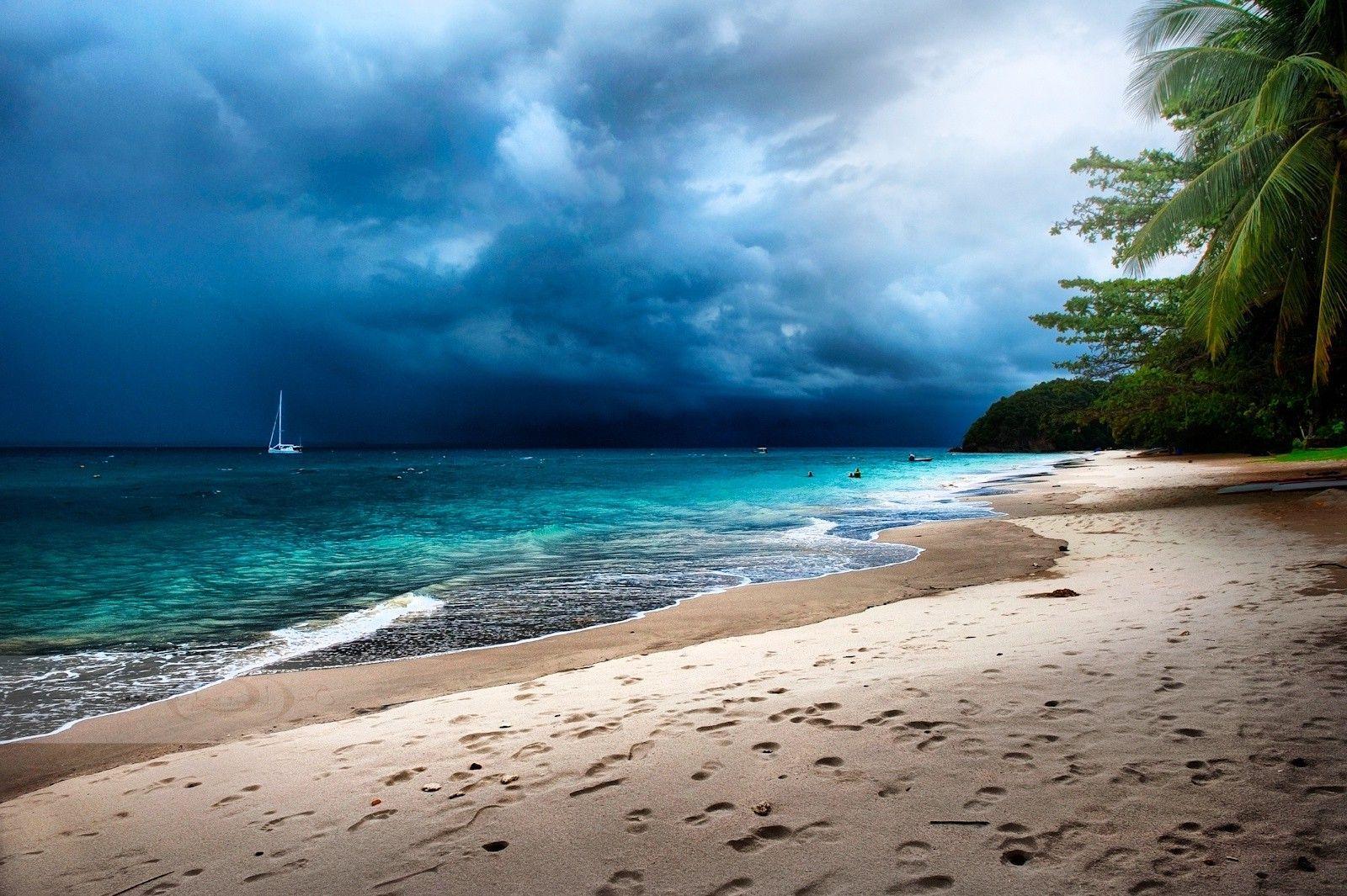 tropical, Palm Trees, Beach, Sand, Storm, Sea, Island, Clouds
