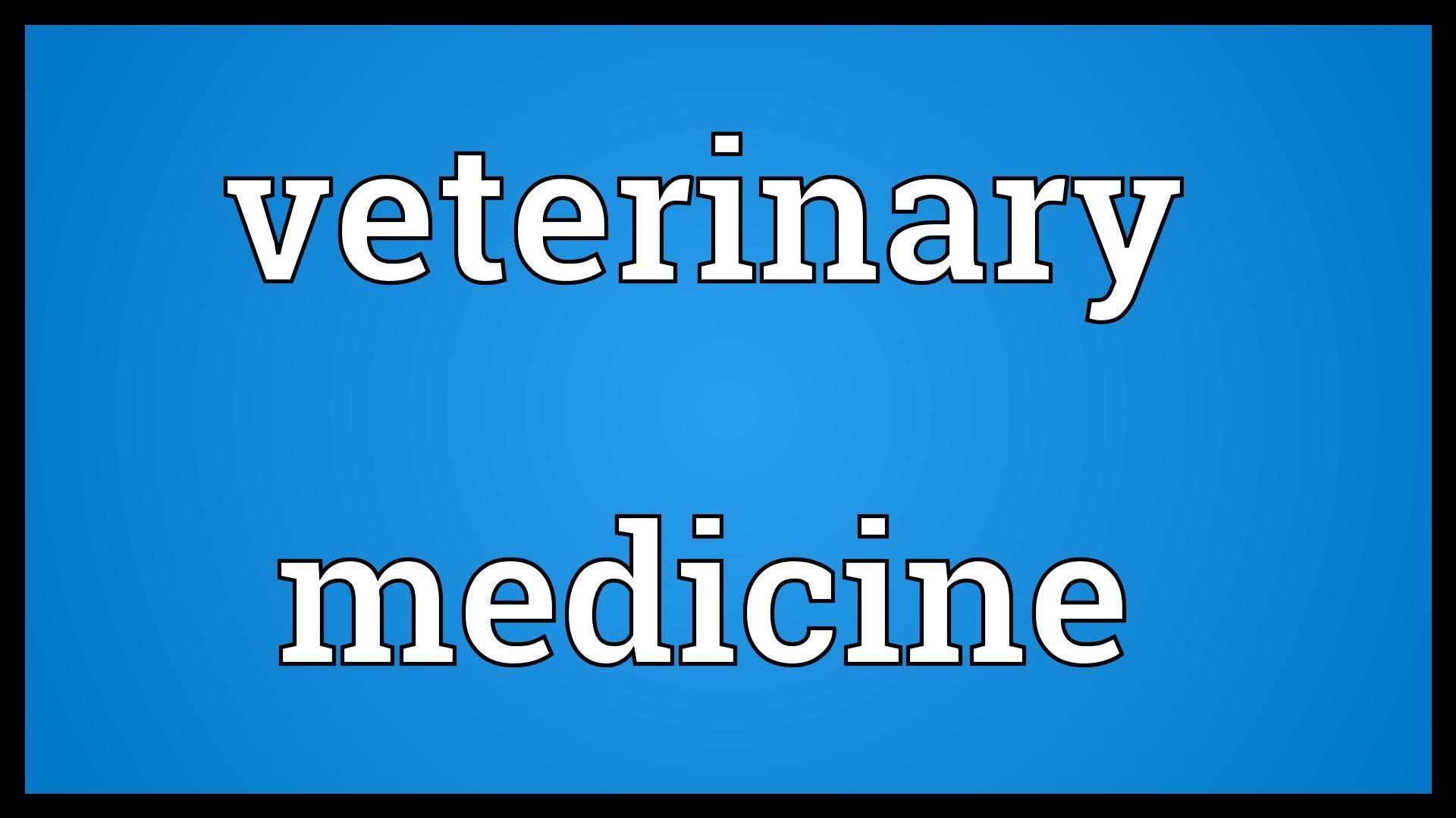 Veterinary medicine Meaning