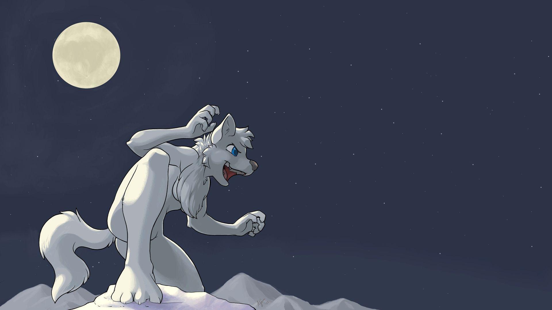 Furry Wallpapers HD