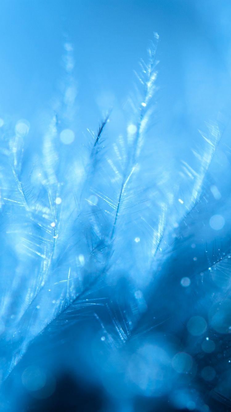 Download Wallpaper 750x1334 Feathers, Close Up, Blurred IPhone 6