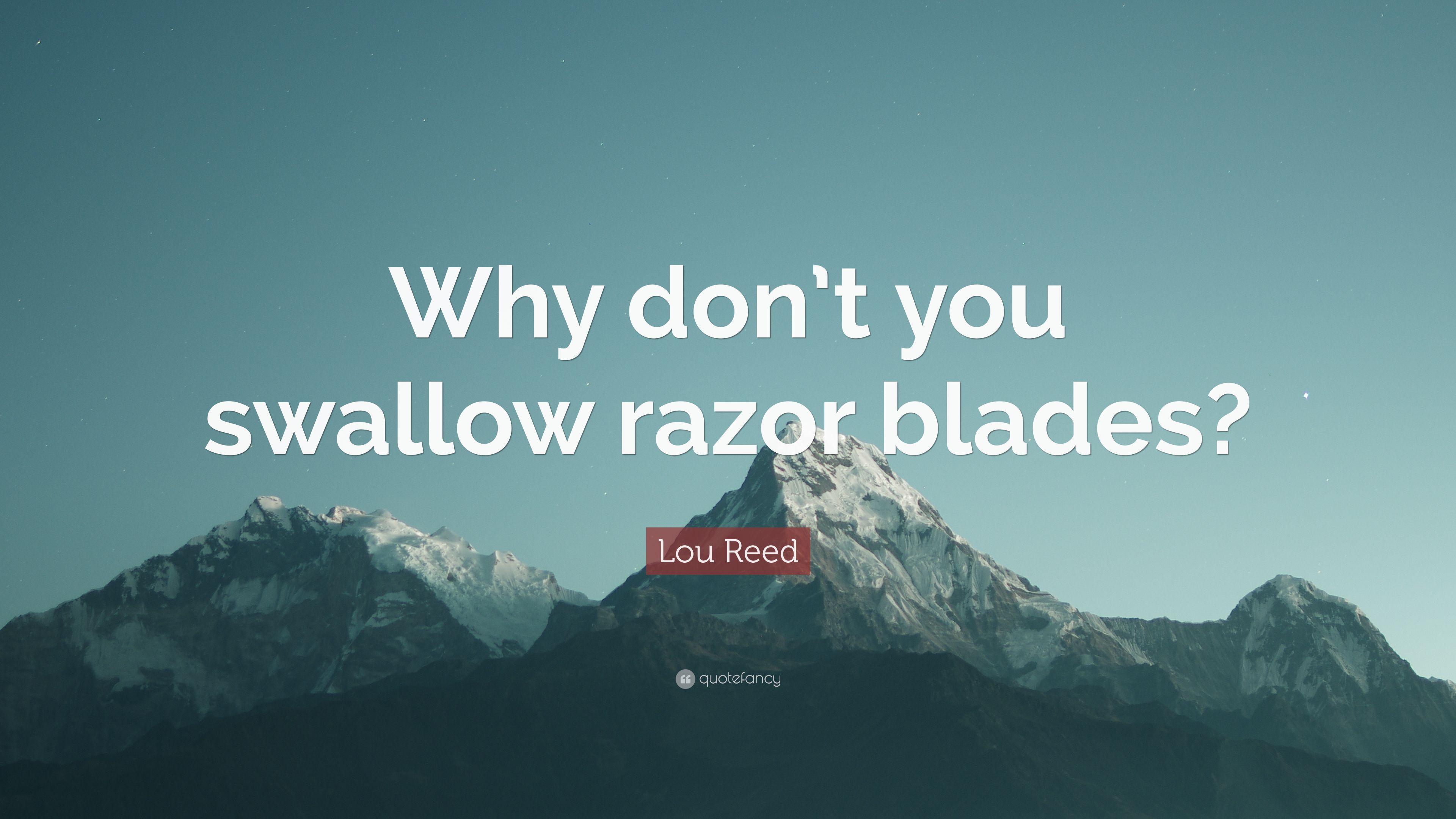 Lou Reed Quote: “Why don't you swallow razor blades?” 7