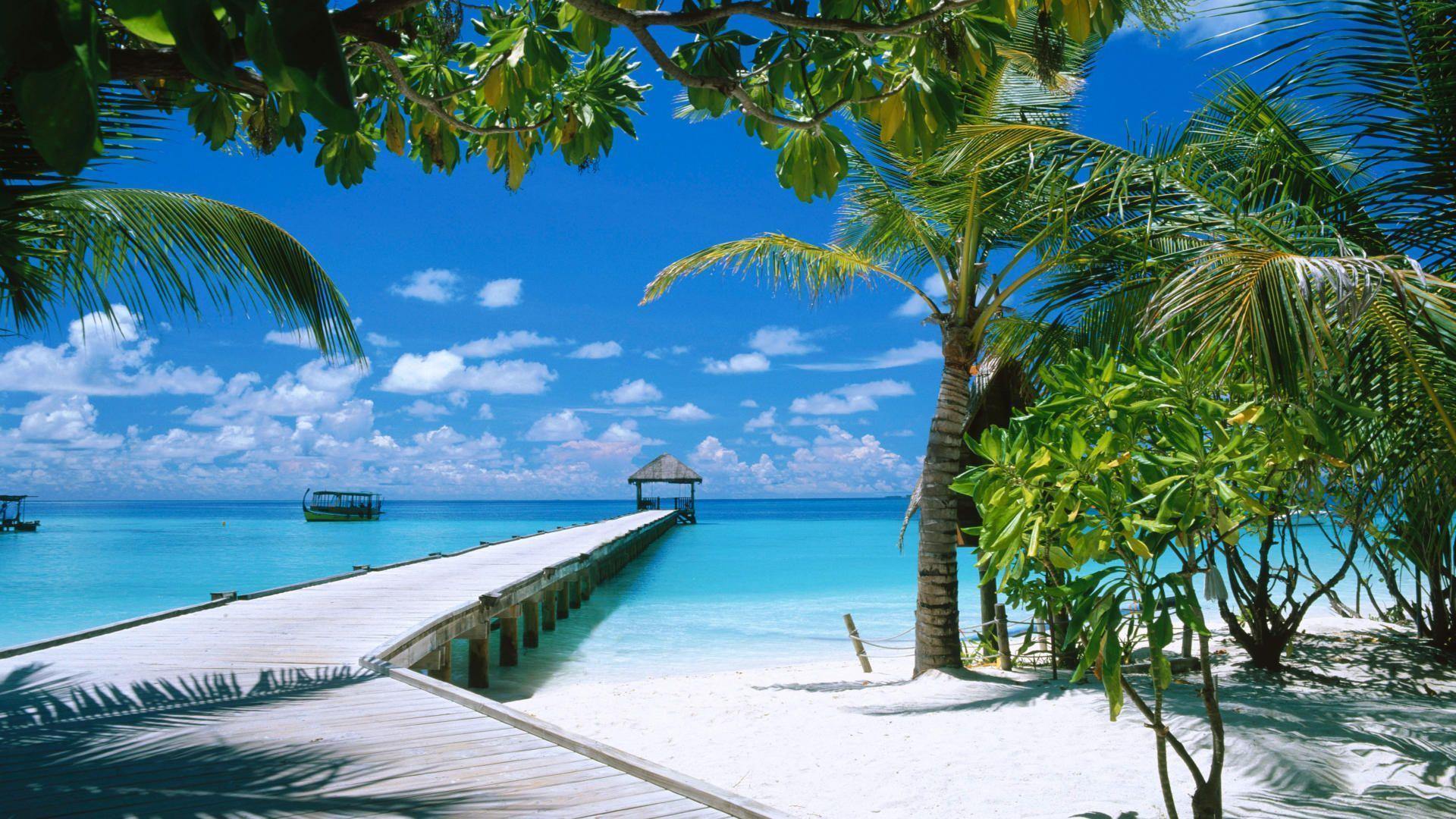 Maldives Beach Wallpaper