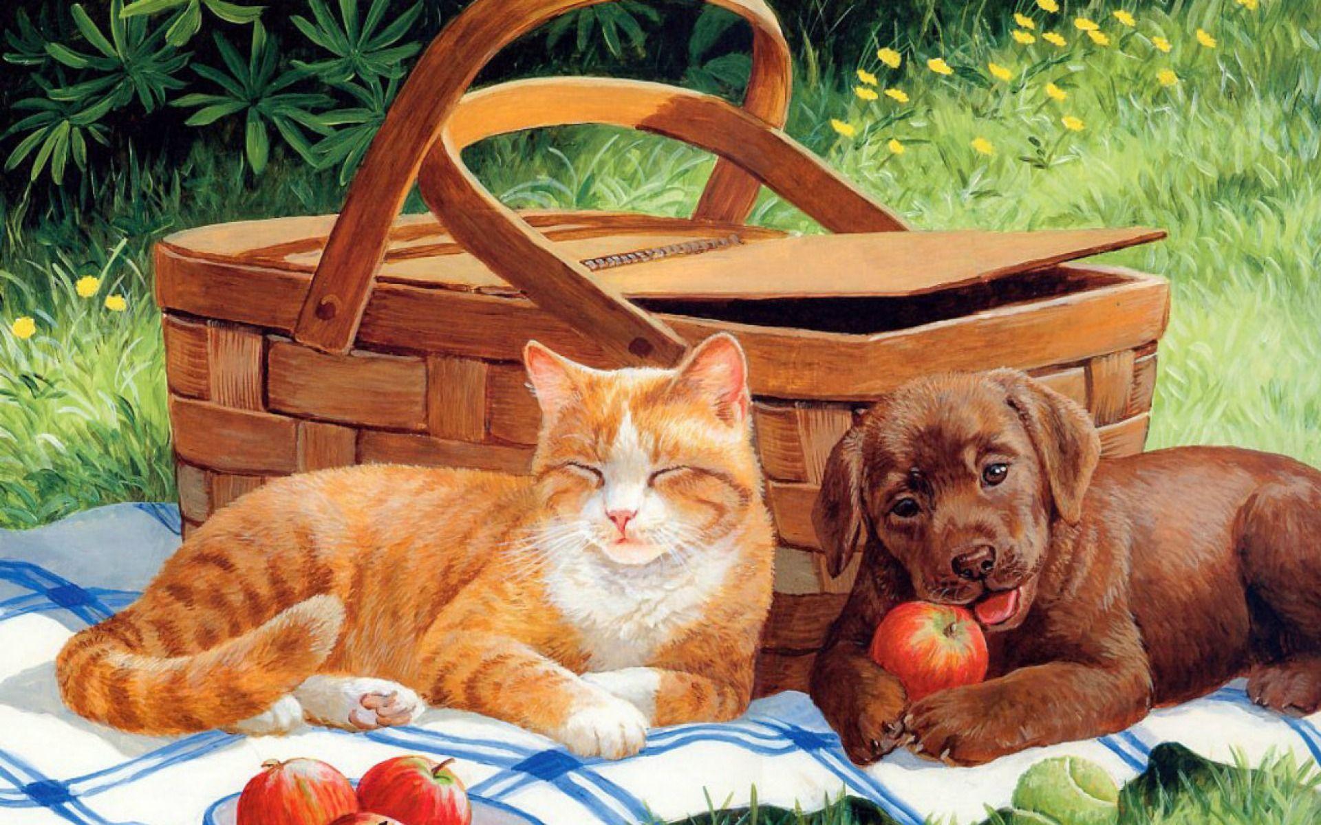Cute Cat & Dog Picnic wallpaper. Cute Cat & Dog Picnic