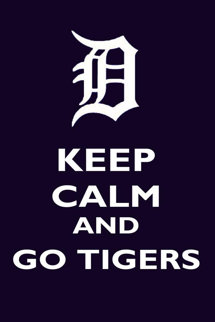 best Detroit Tigers & Baseball Stuff image