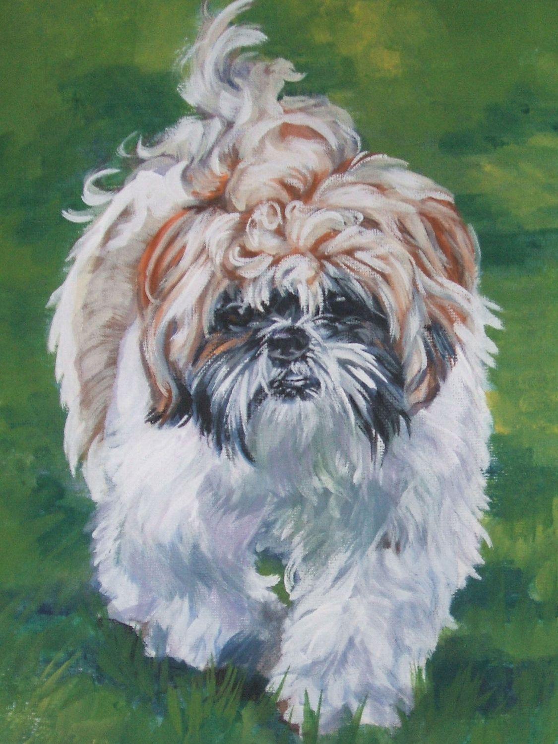 Shih Tzu photo and wallpaper. The beautiful Shih Tzu picture