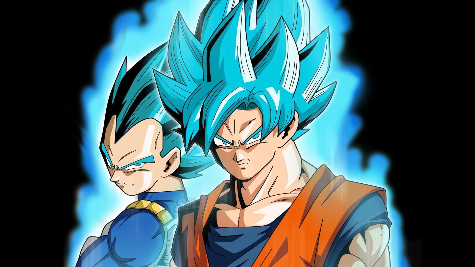 Goku and Vegeta Super Saiyan Blue DB... Wallpapers