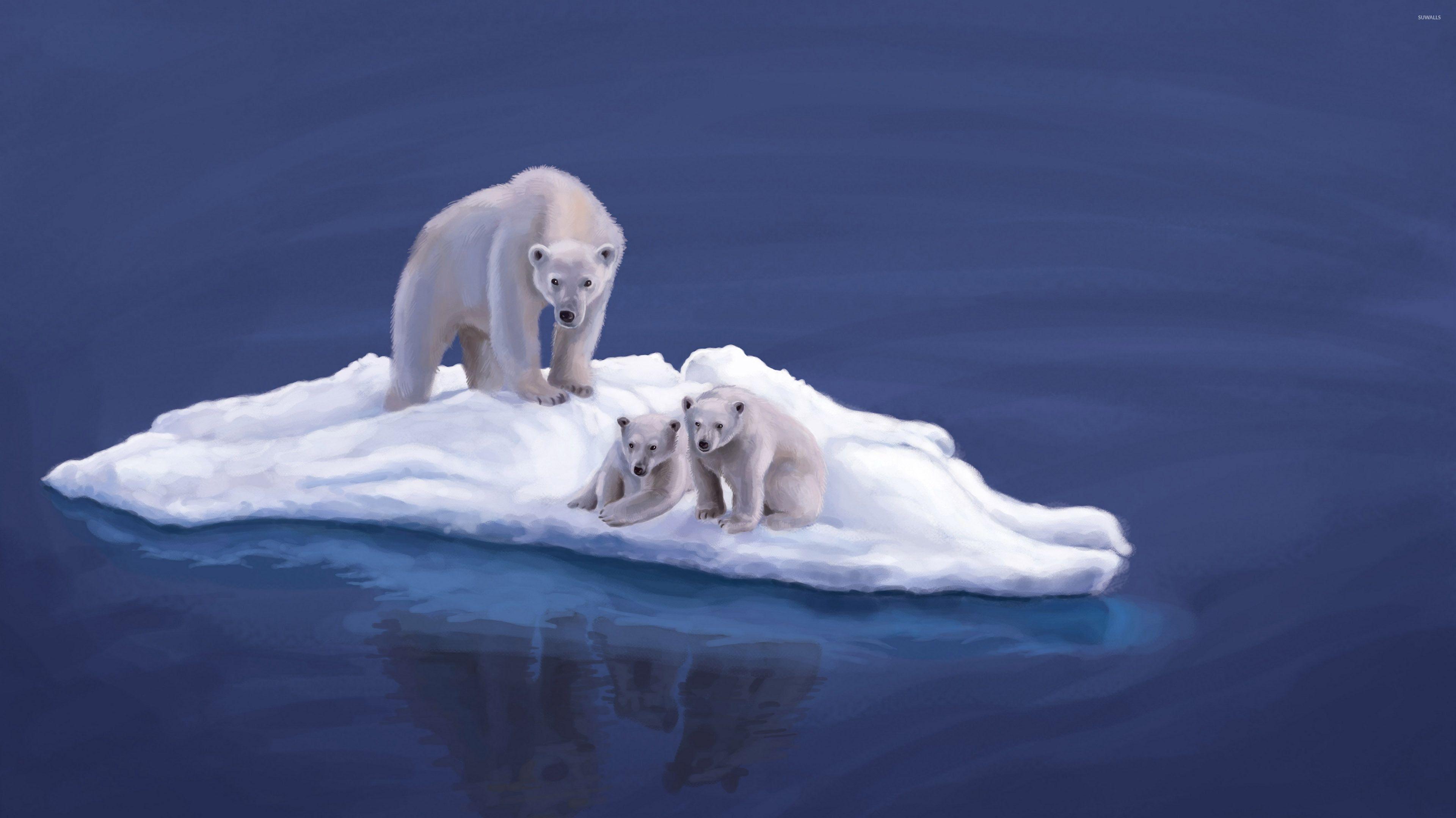 Polar bears on ice wallpaper wallpaper