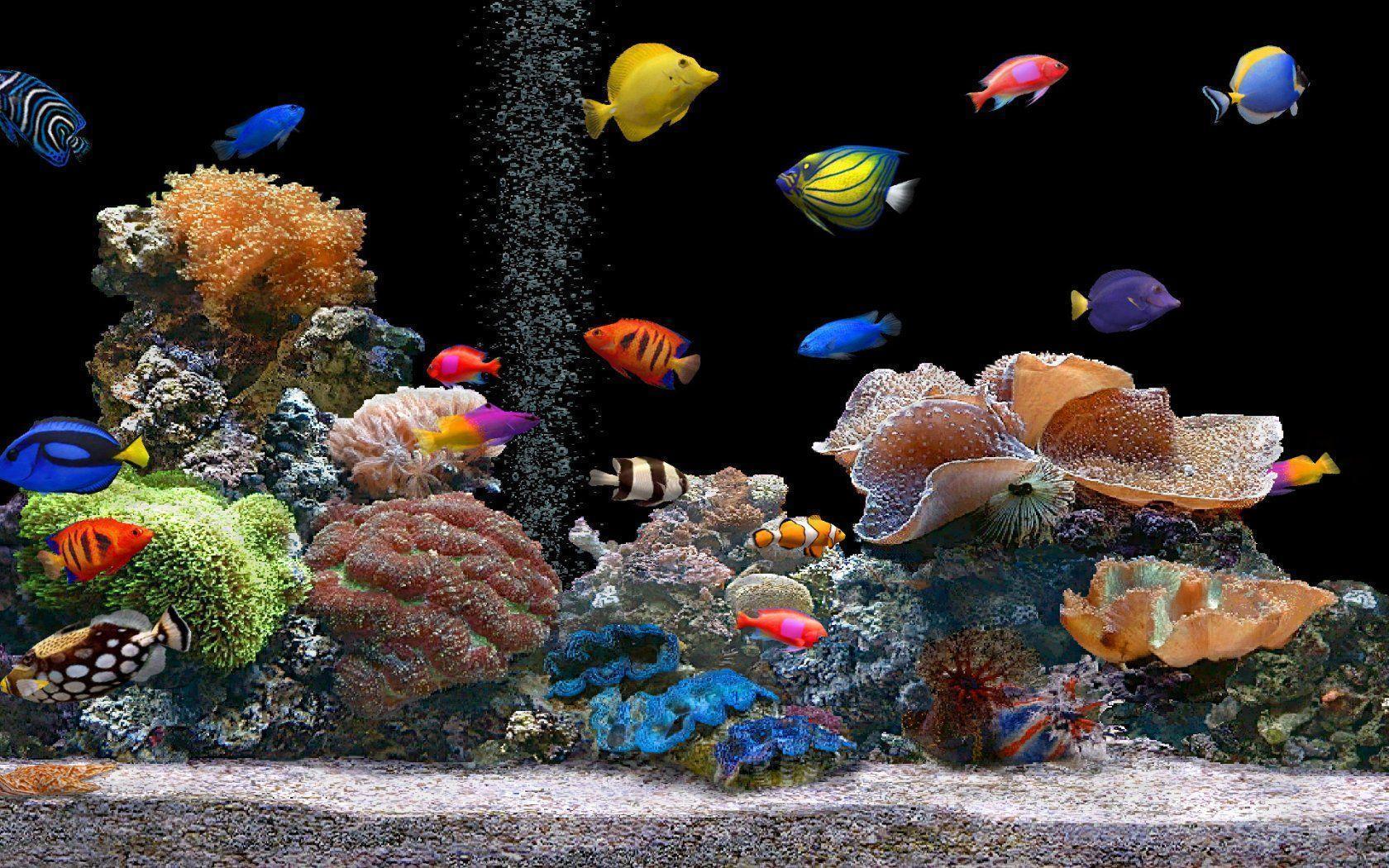 Free 3D Fish Tank Wallpaper