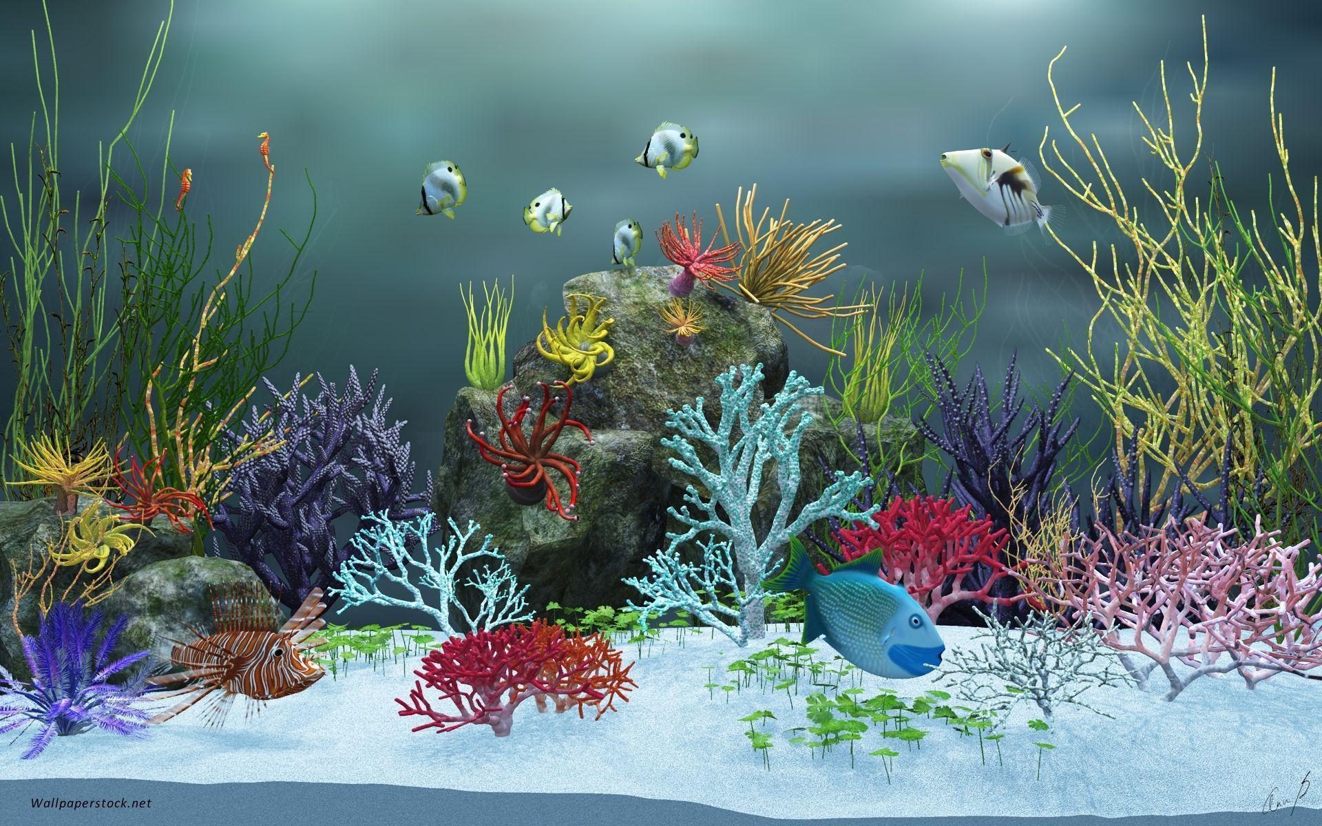 Fish Tank Wallpaper