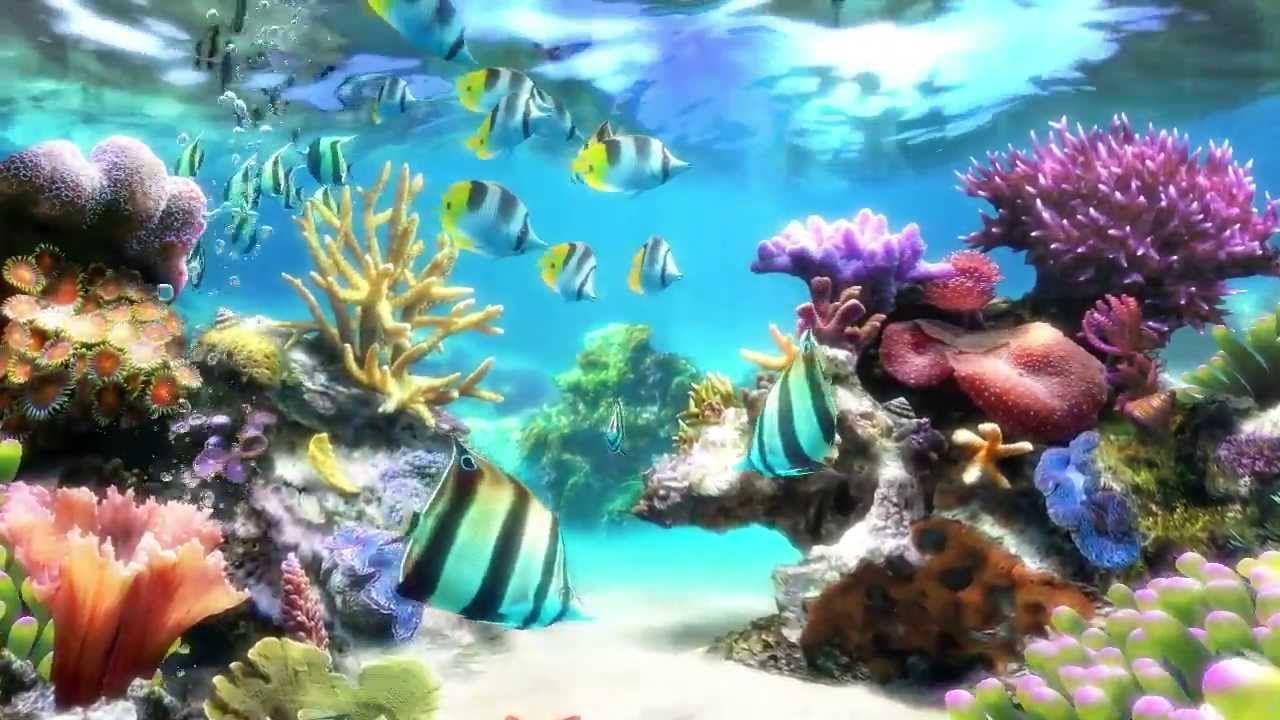 Sim Aquarium & Live Wallpaper