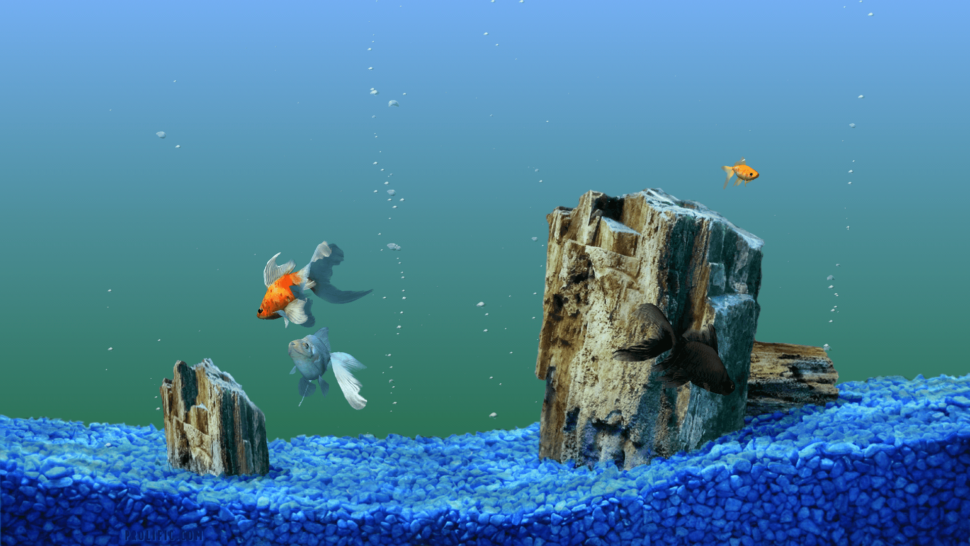 Aquarium Background, Wallpaper, Image, Picture. Design