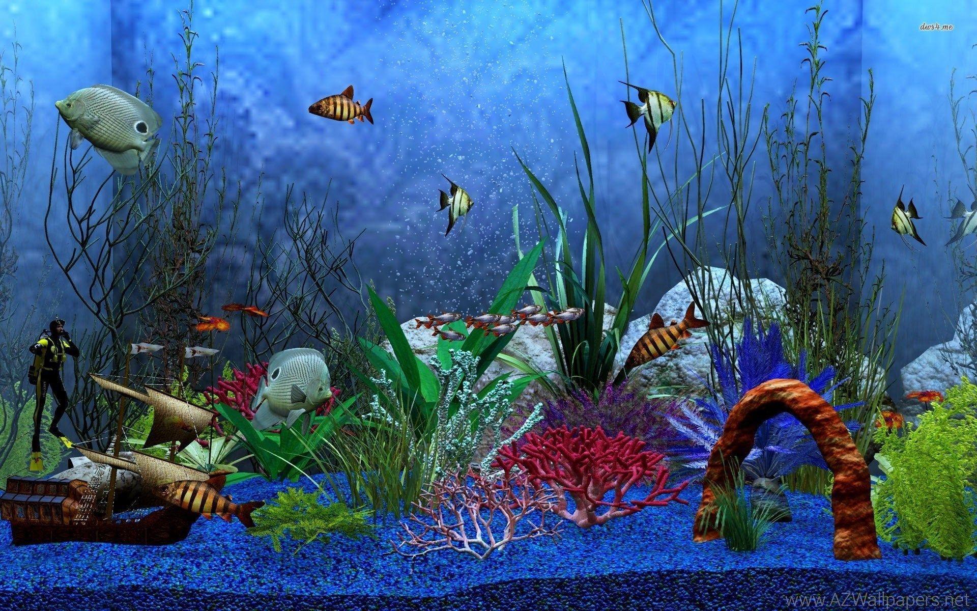 Jinxster's Fish Tank Computer Wallpaper, Desktop Background